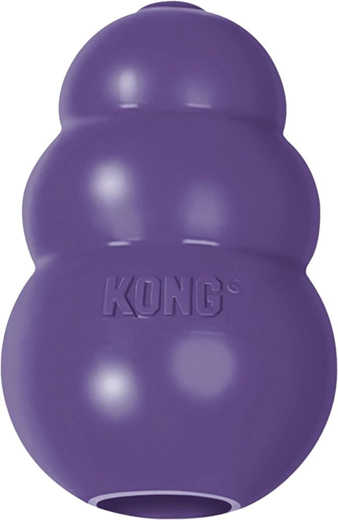 KONG Senior Dog Toy