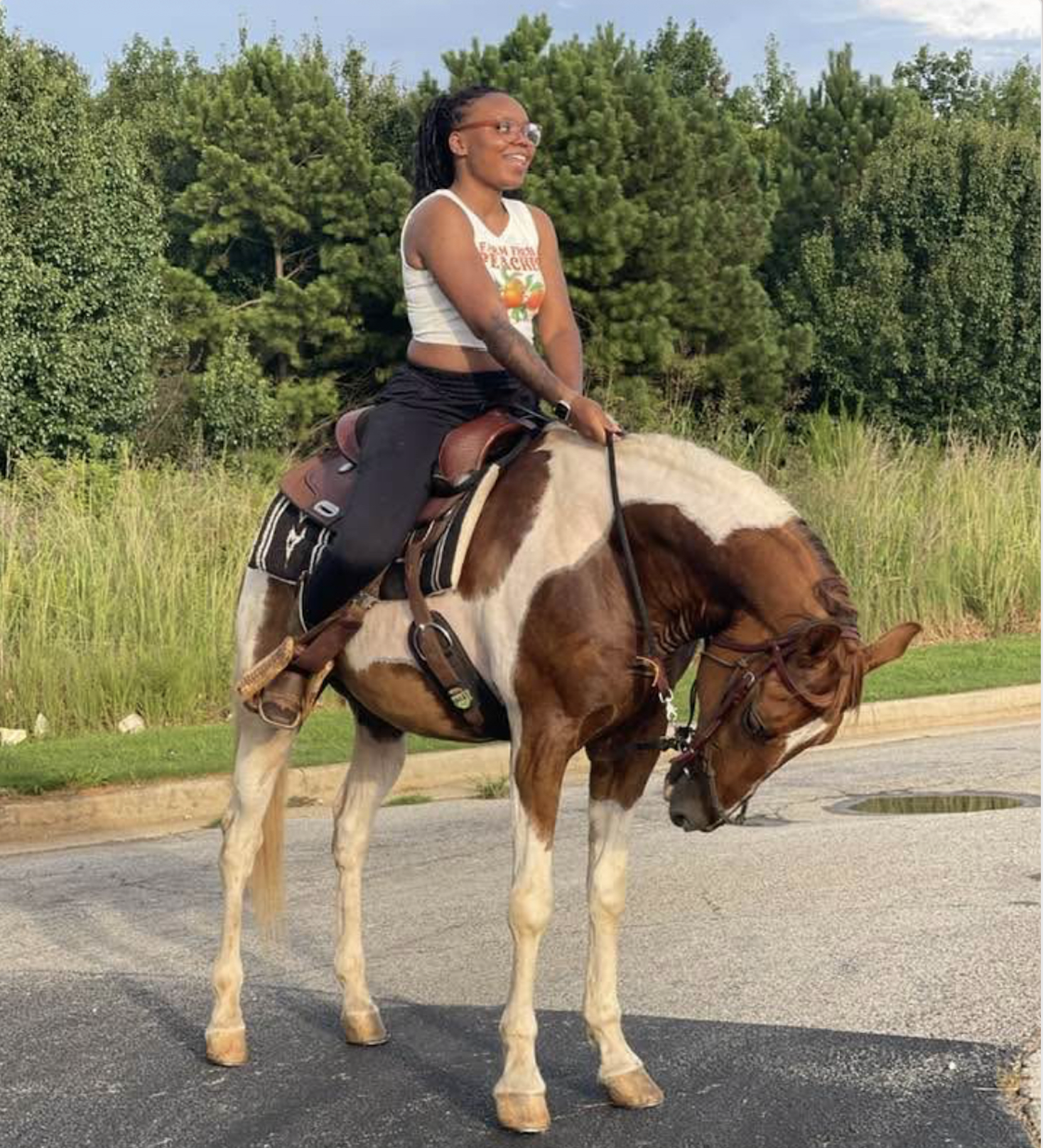 Memorable Equine Encounters