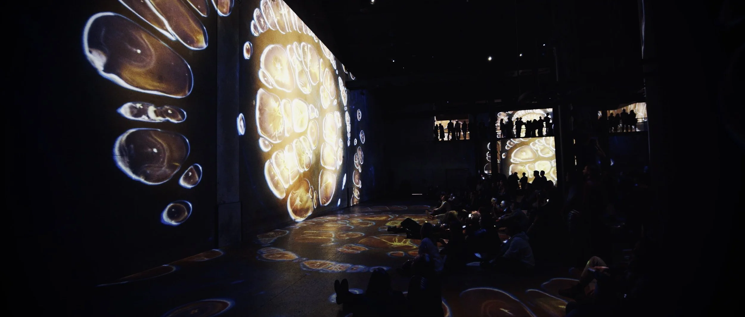 LIFE & CHAOS <span class="exp">ATELIER DES LUMIÈRES</span>
