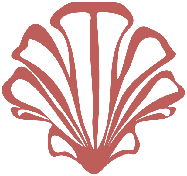 Hand-drawn style vector illustration of a seashell, red lineart.