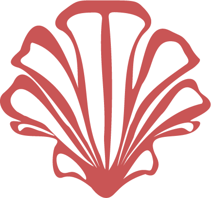 Stylized pink seashell illustration on a black background.
