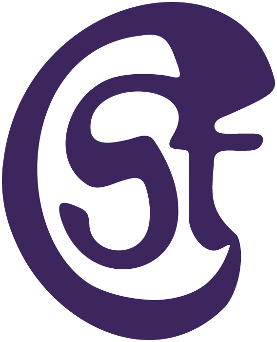 Purple circular logo with stylized overlapping letters 'S' and 'E' inside.