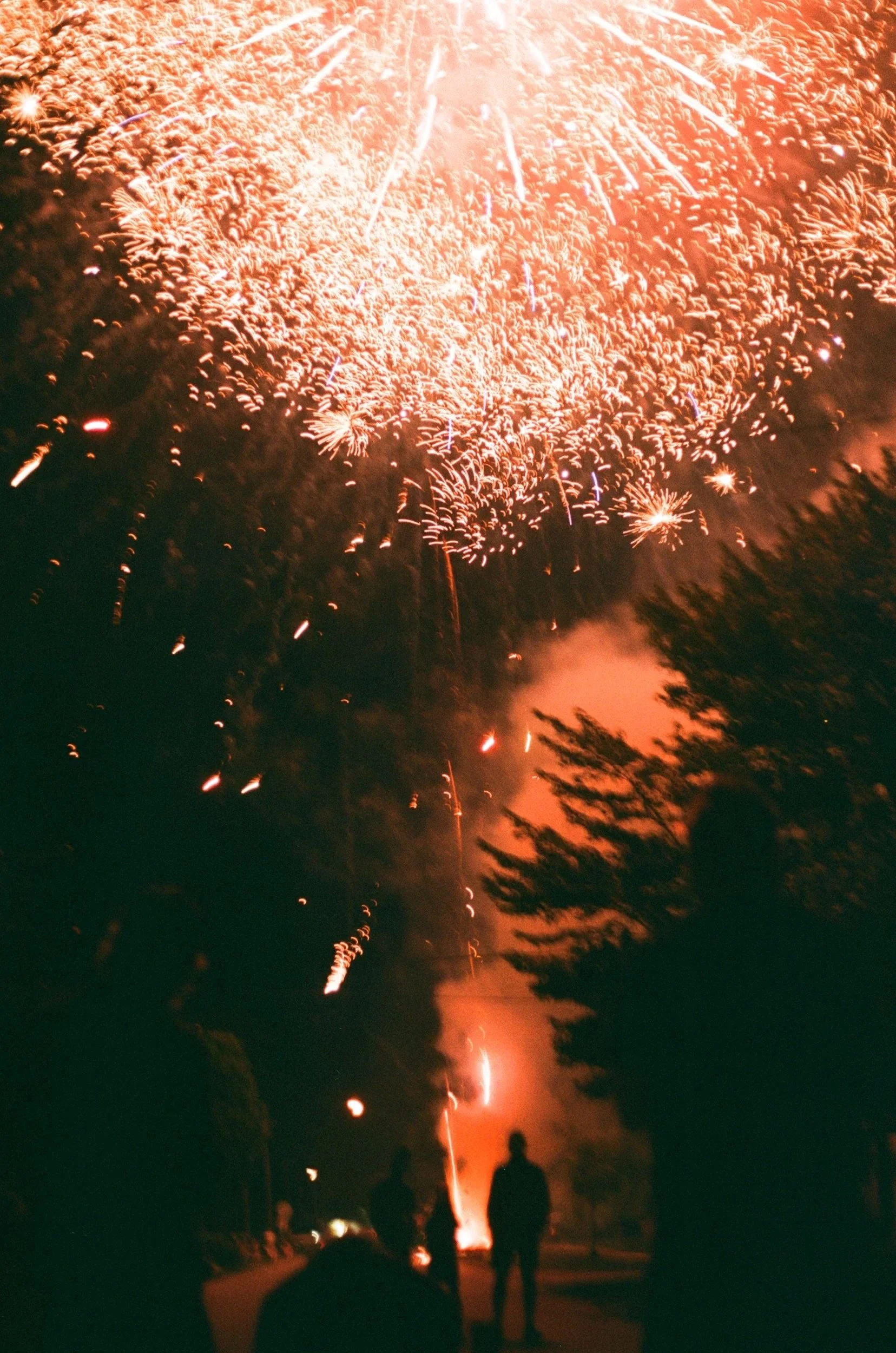 005335240008.jpg
