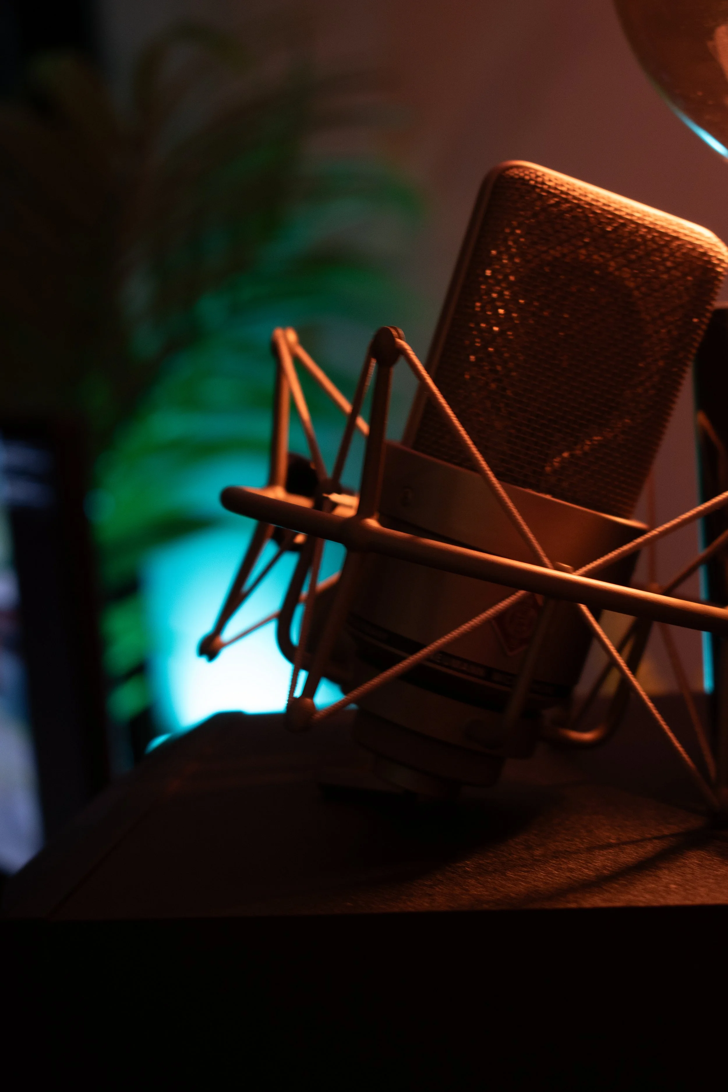 Close-up of a professional microphone with a pop filter, illuminated by colorful background lights.