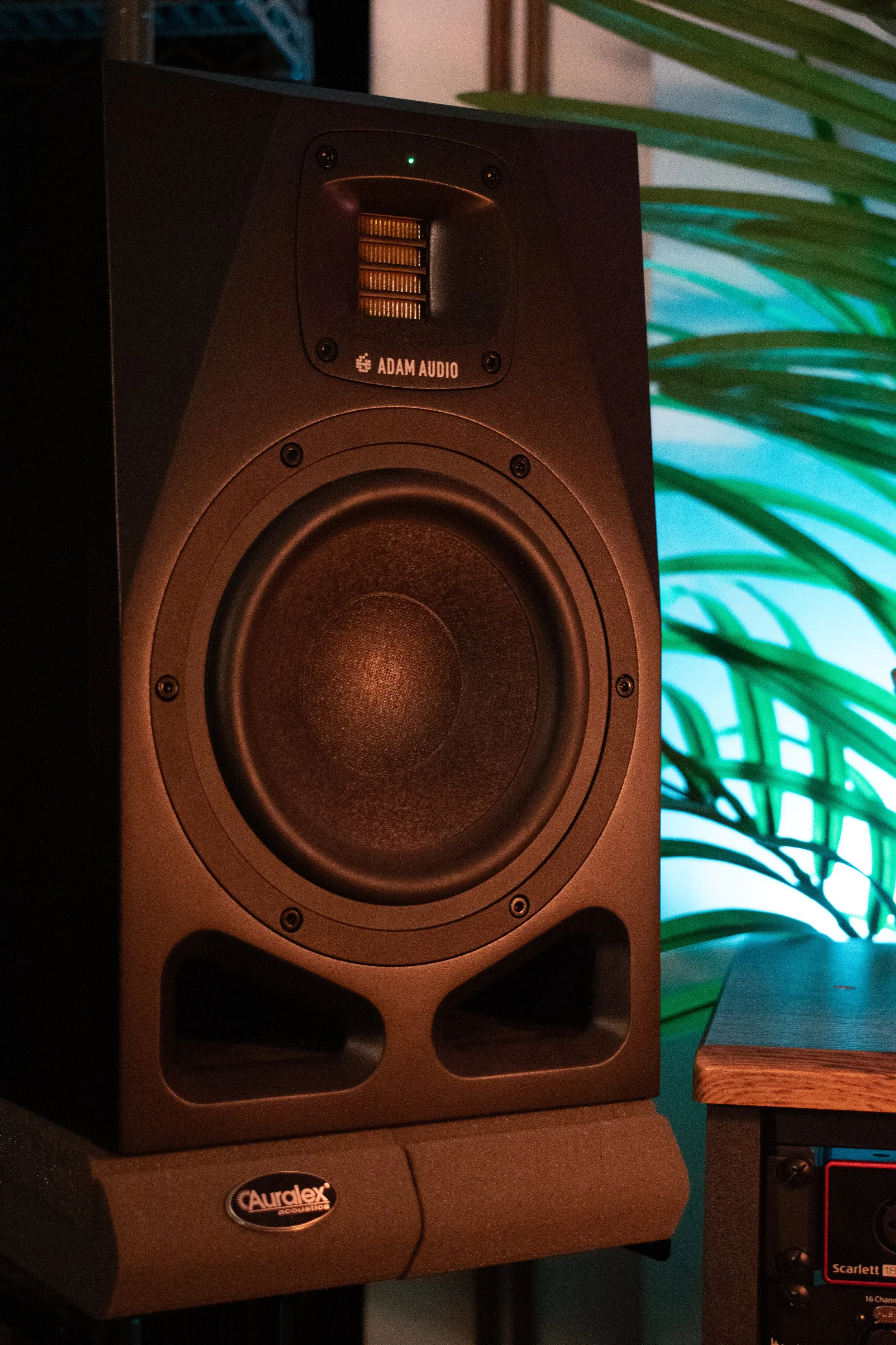 Close-up of a black Adam Audio speaker with a large woofer, a smaller tweeter, and a green indicator light, placed on a stand in front of a green plant.