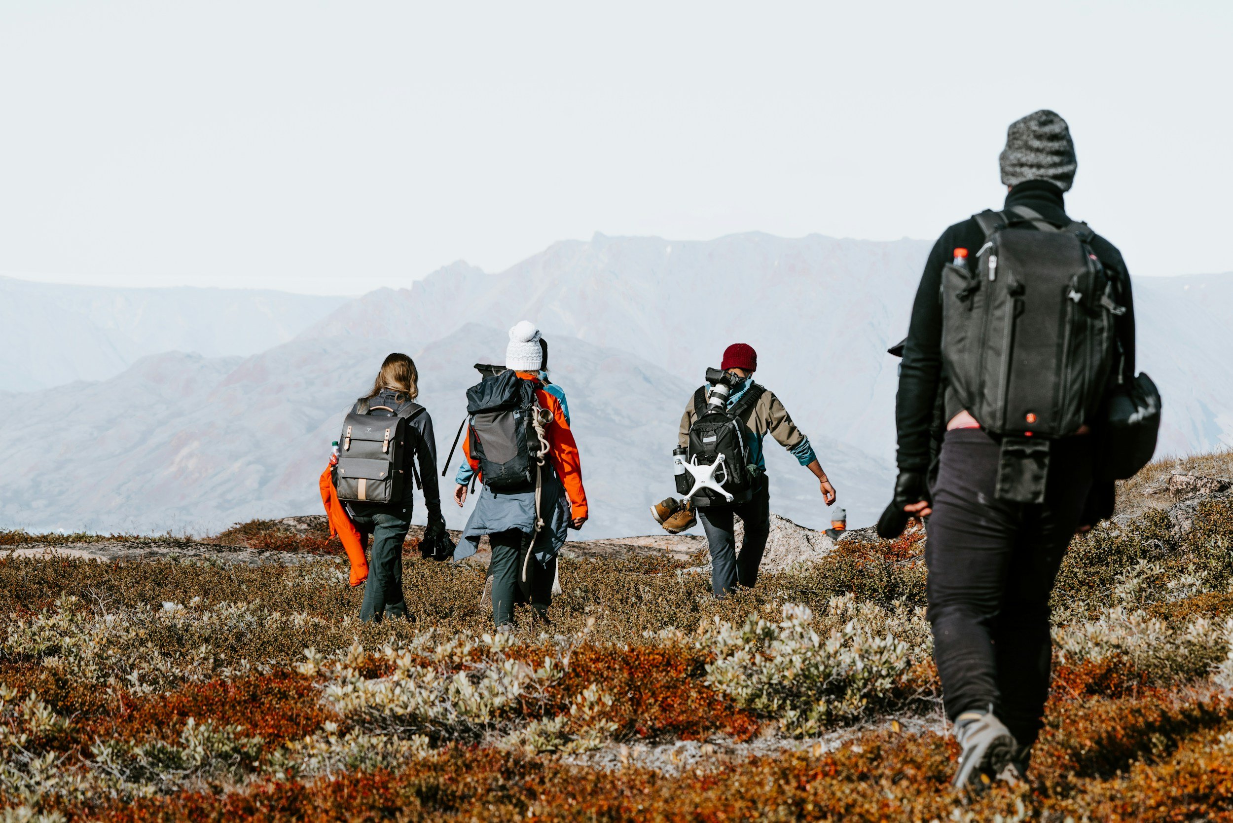 A Hitchhikers Guide to Feedback