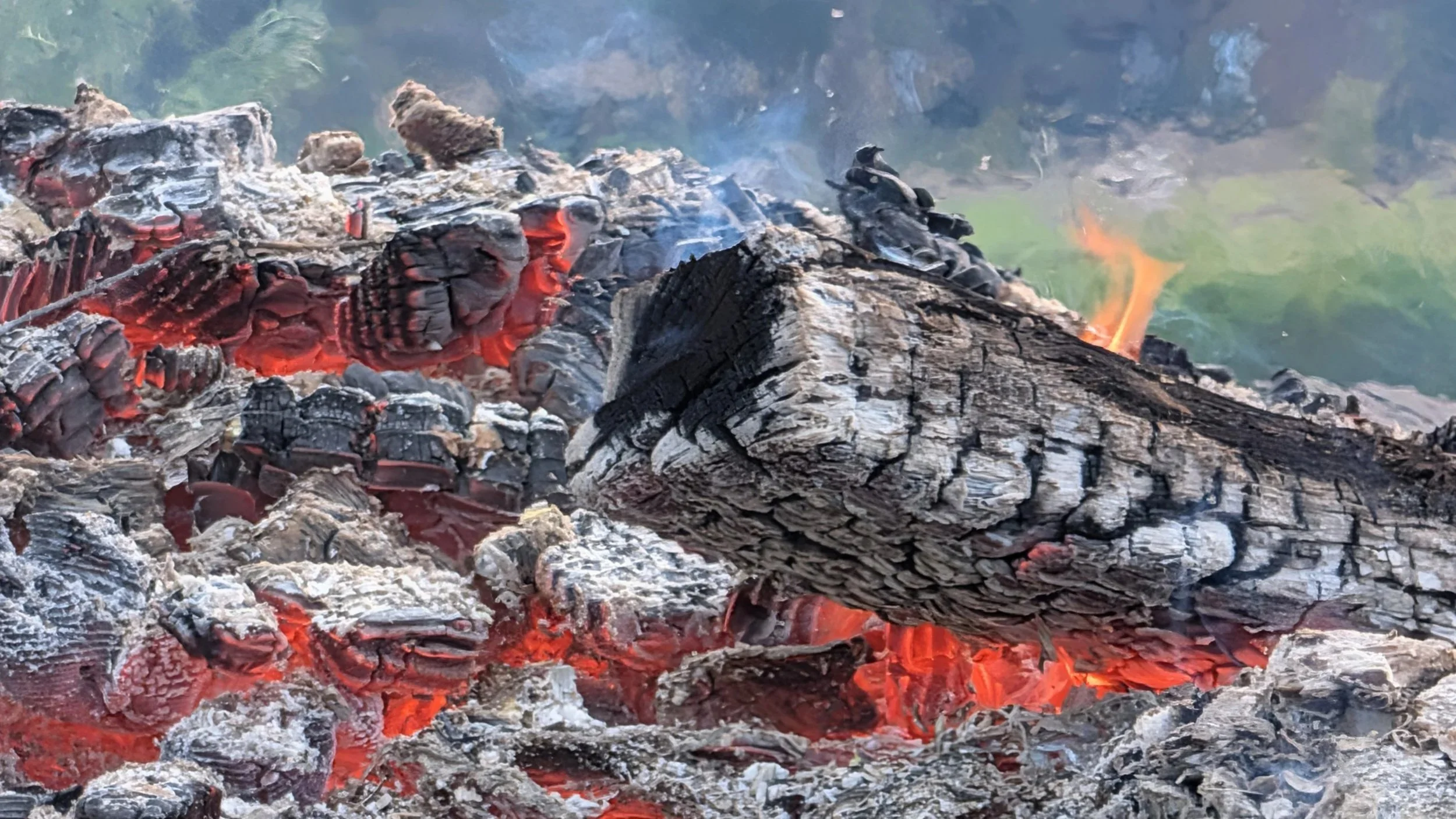 Close-up of burning charcoal and logs with glowing red embers and small flames.