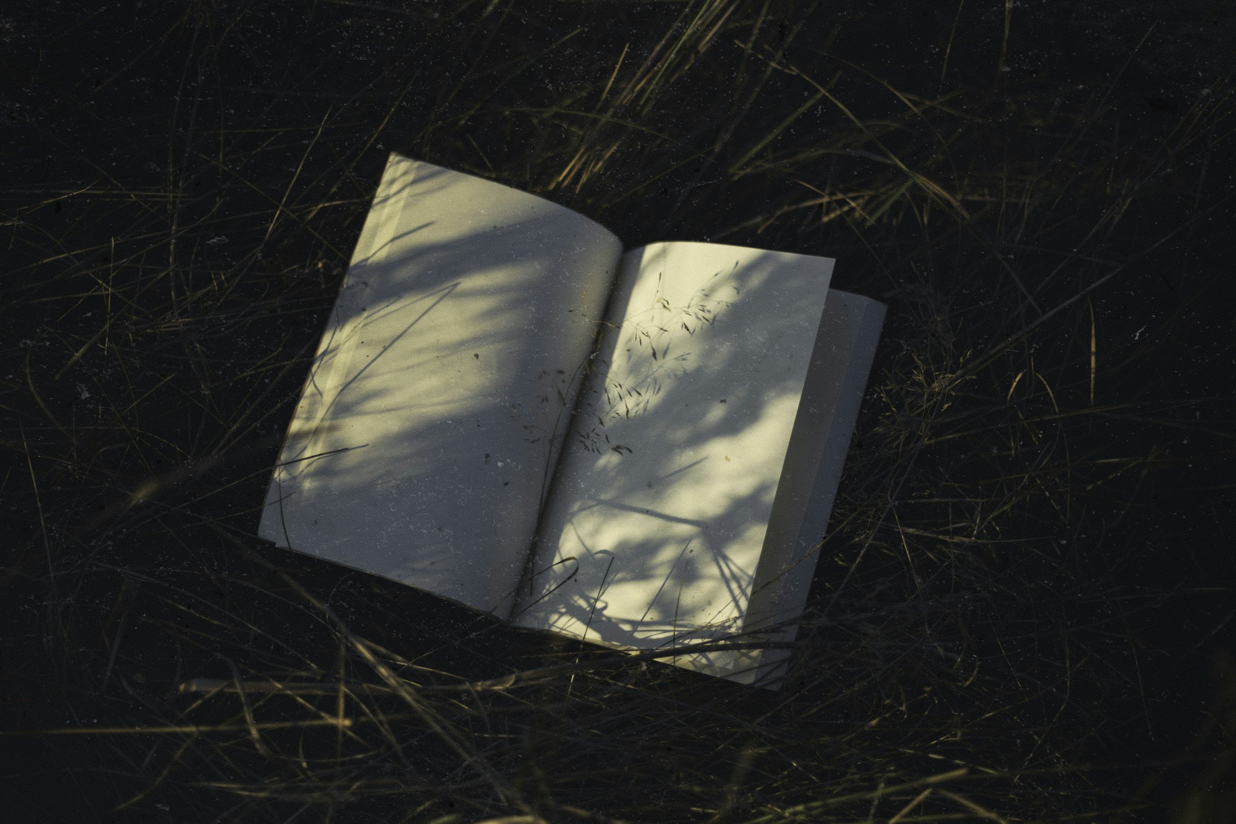 Open book lying on grass with shadows of plants cast on its pages, surrounded by dry grass and soil.