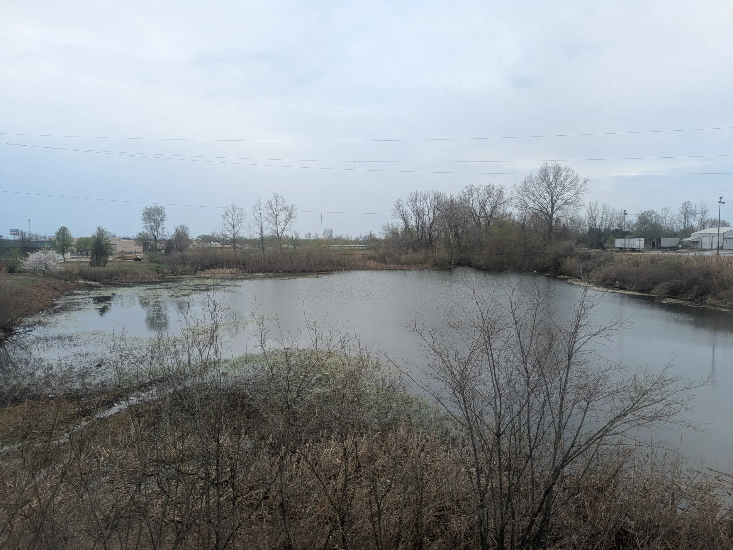 A small pond surrounded by leafless trees and shrubs under an overcast sky, with a highway and commercial buildings in the background.