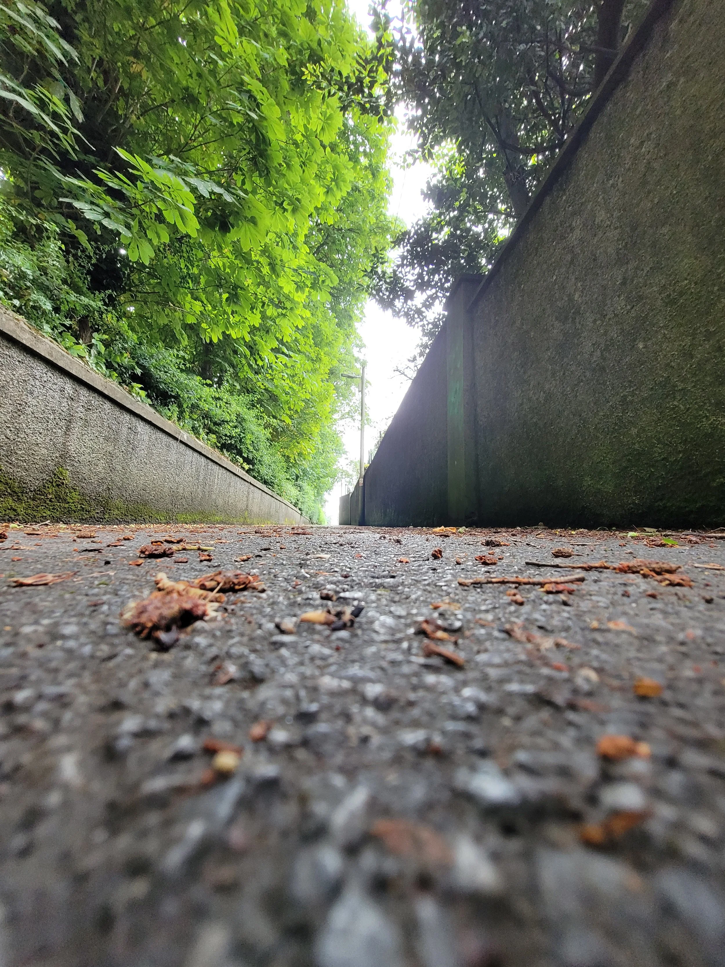 rock walls on both sides, camera on ground with fallen leaves in front, green tree on left side and some on right with light peaking through the middle