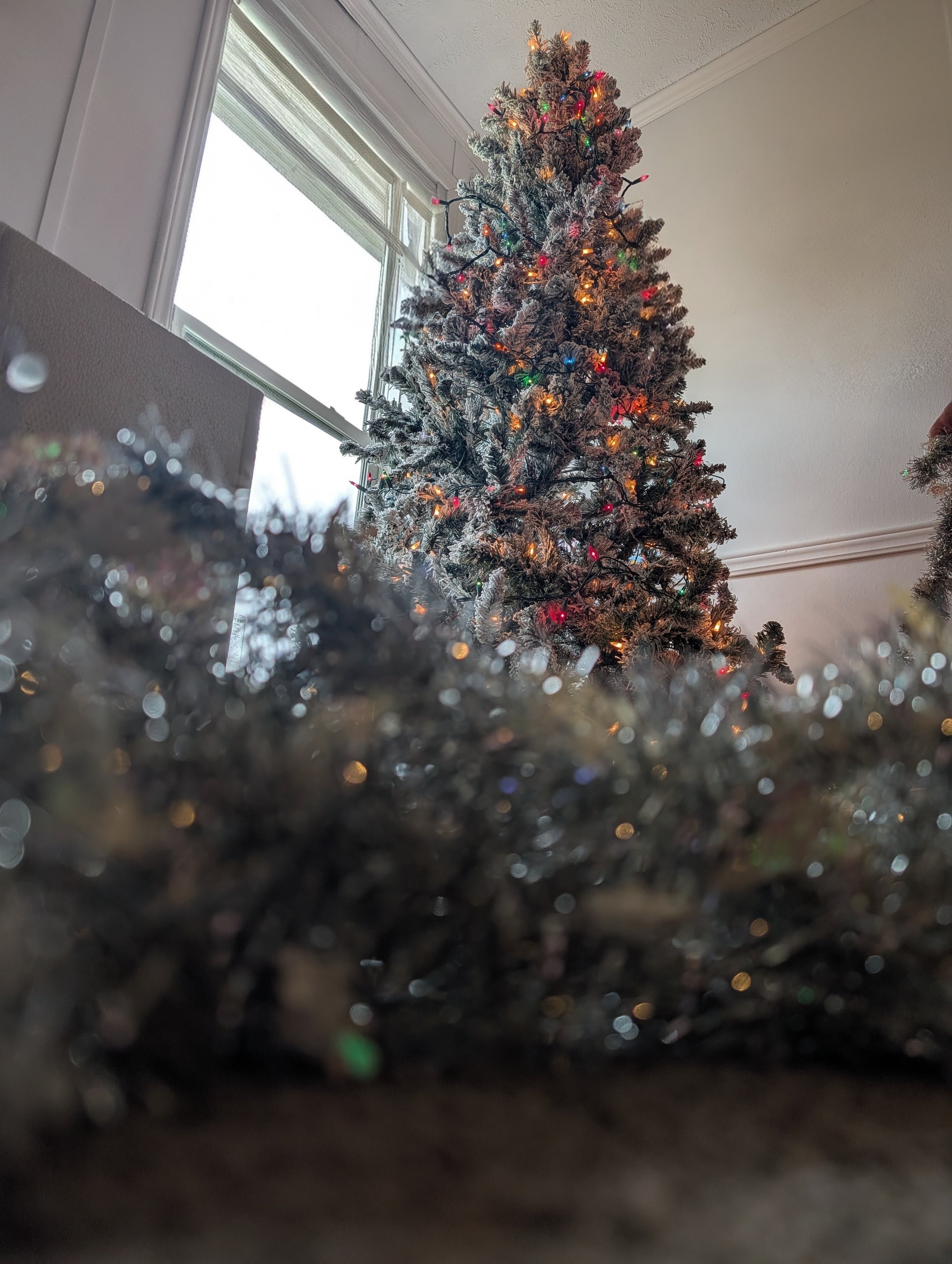 Frosted Christmas tree decorated with multicolored lights, seen from low angle with blurry tinsel in the foreground, in a room with windows and ceiling molding.