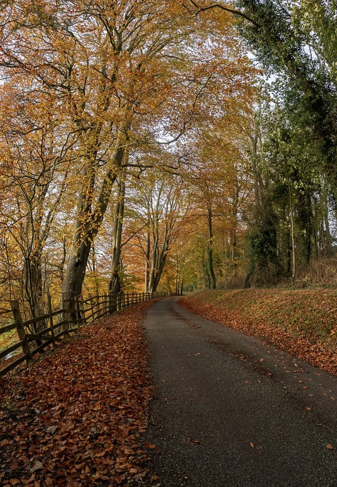 _MG_9928-HDR-Pano.jpg