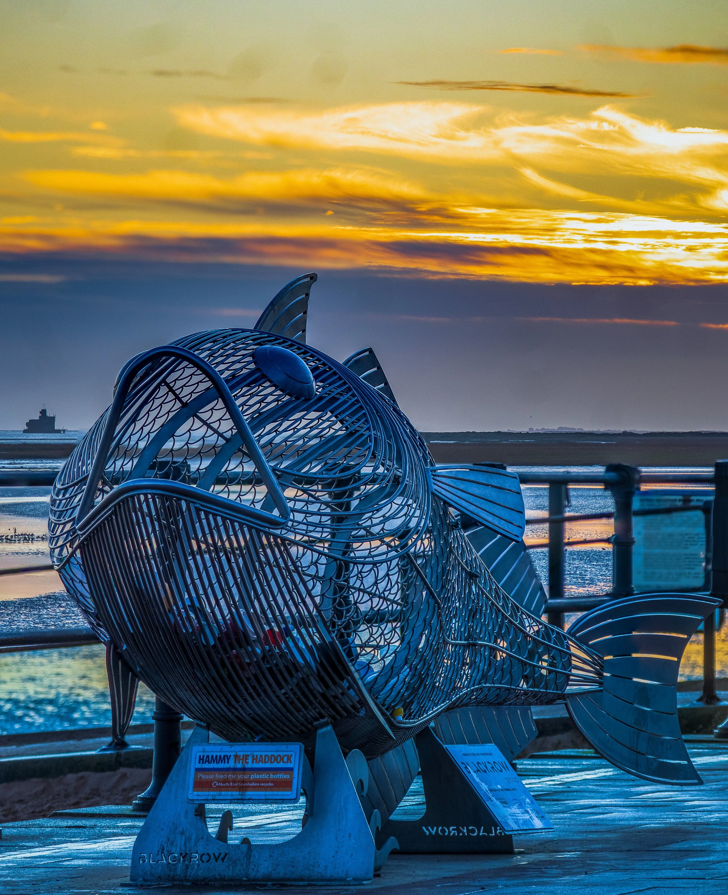 focus stack 1b-Pano-Edit.jpg