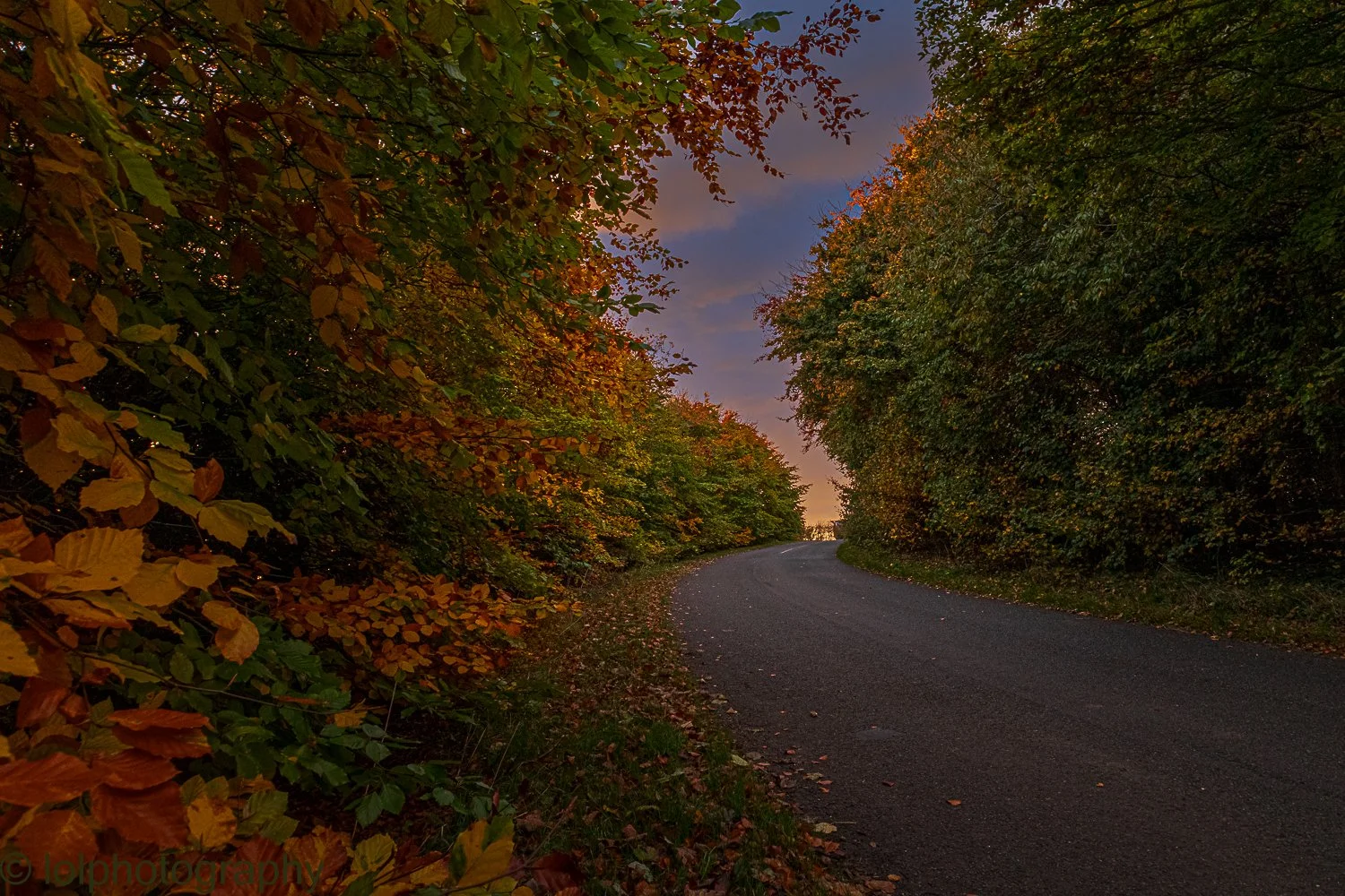 _MG_7284-HDR.jpg