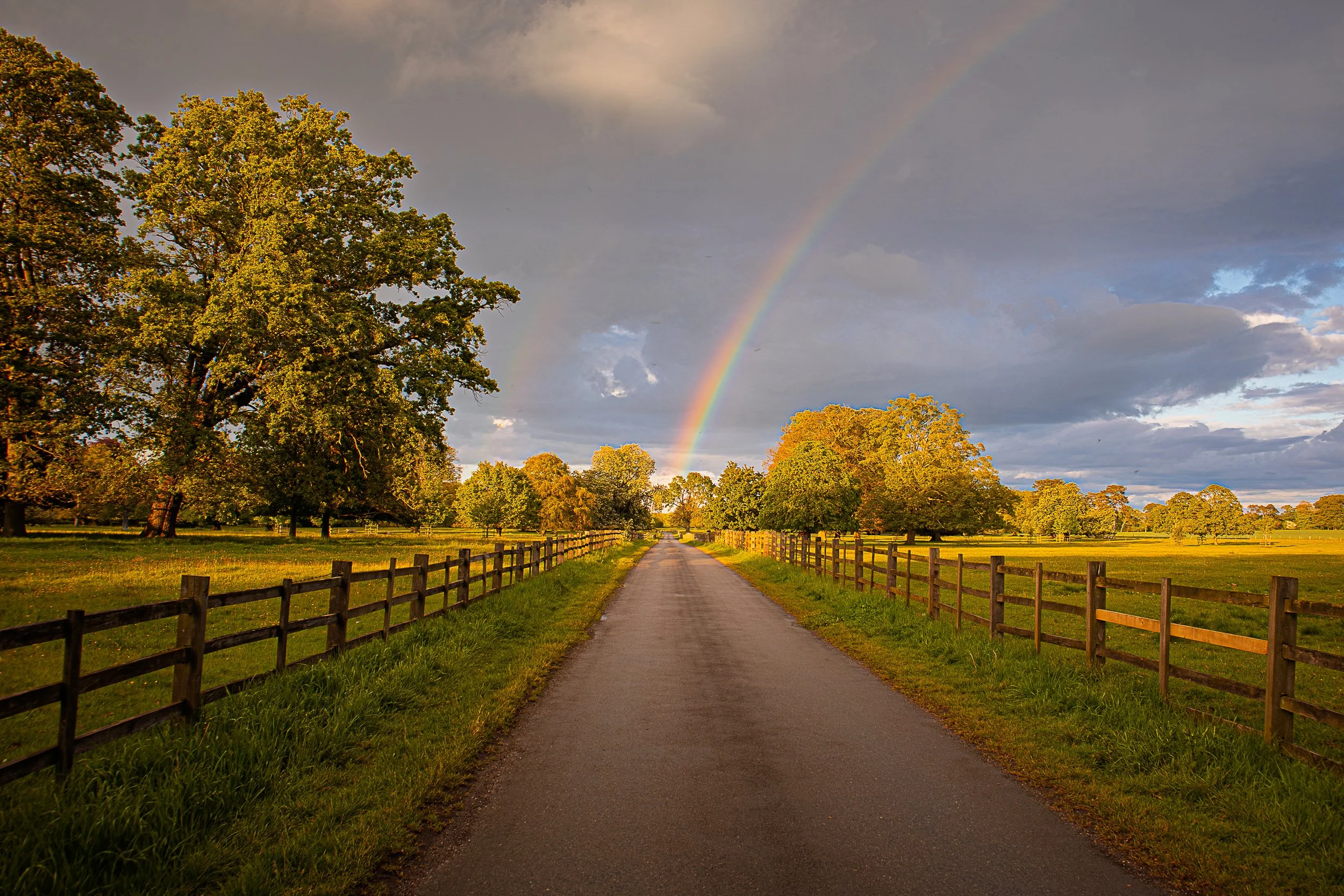 IMG_9061-HDR.jpg