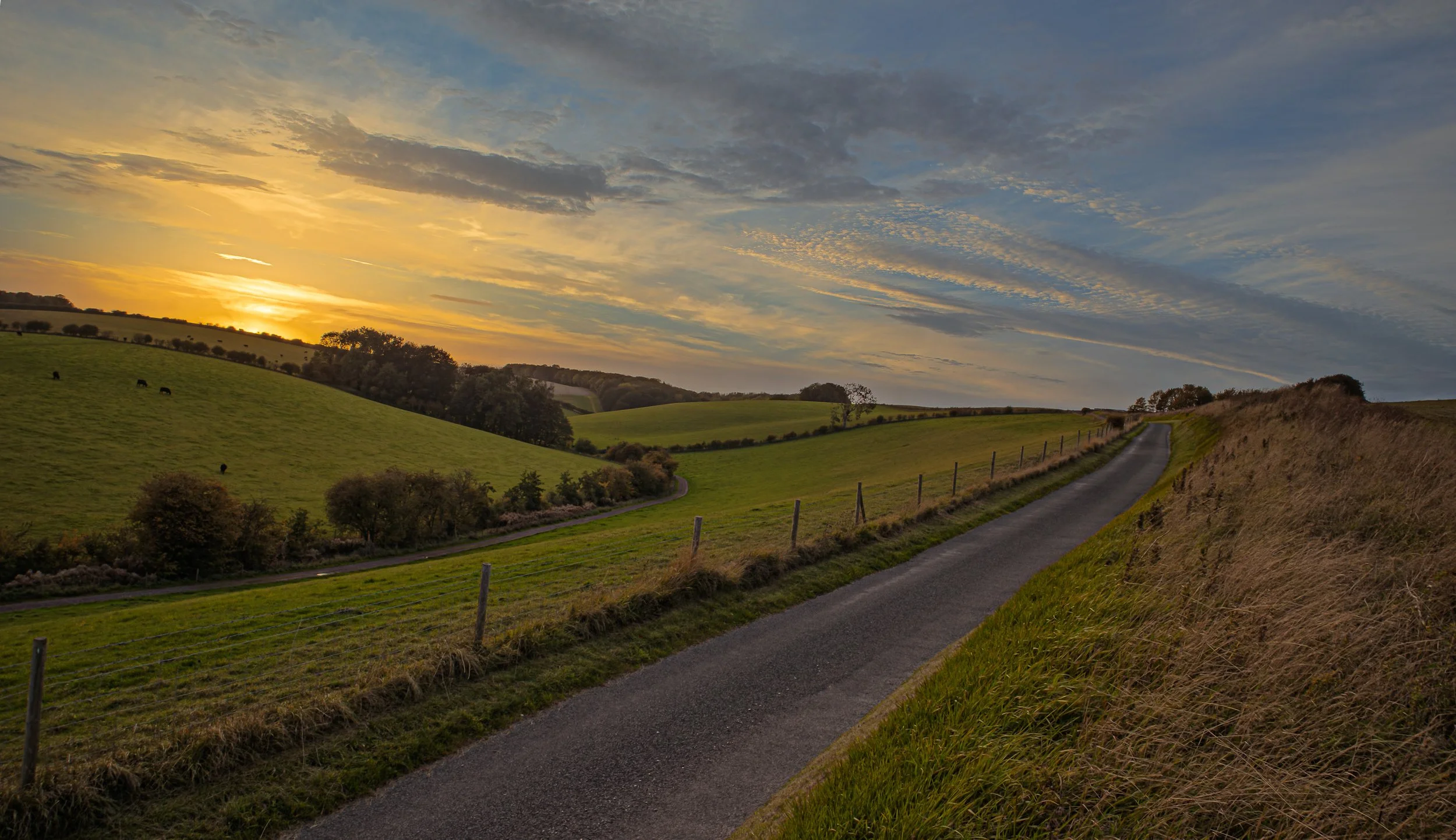 IMG_9978-HDR.jpg