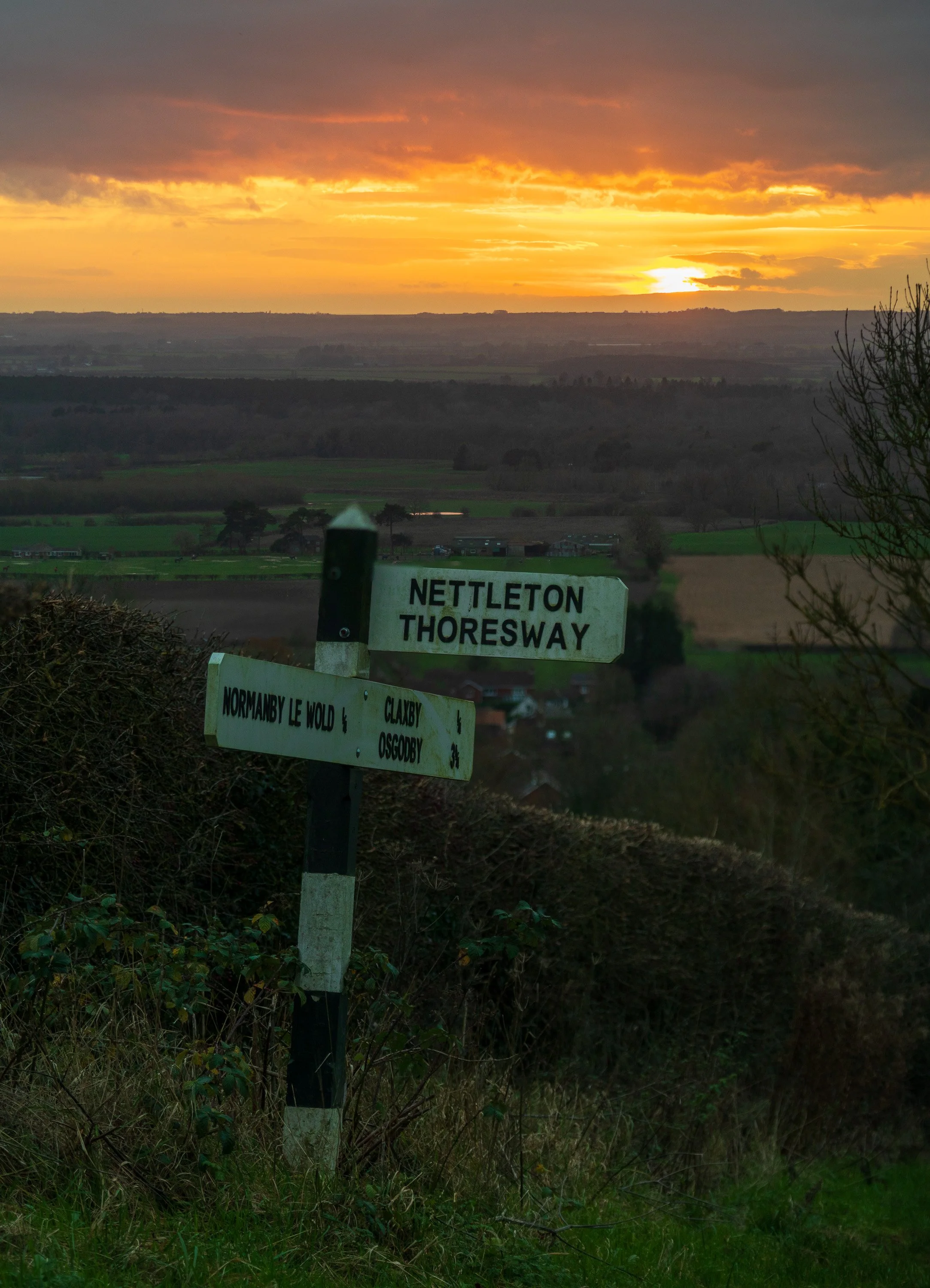 IMG_5300-Pano.jpg