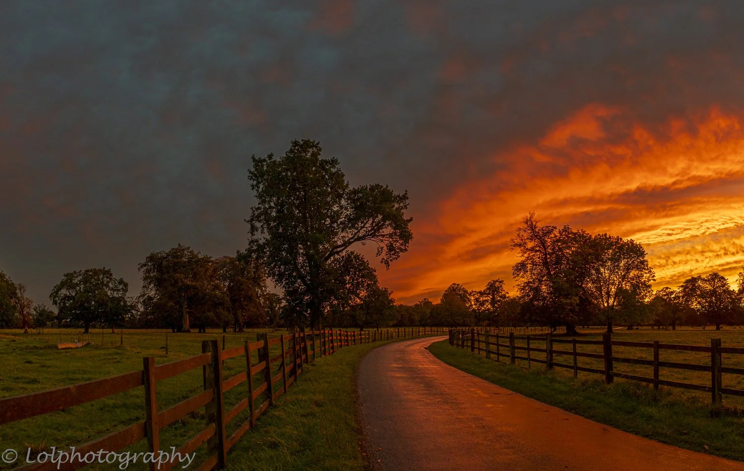 _MG_5975-HDR-Pano.jpg