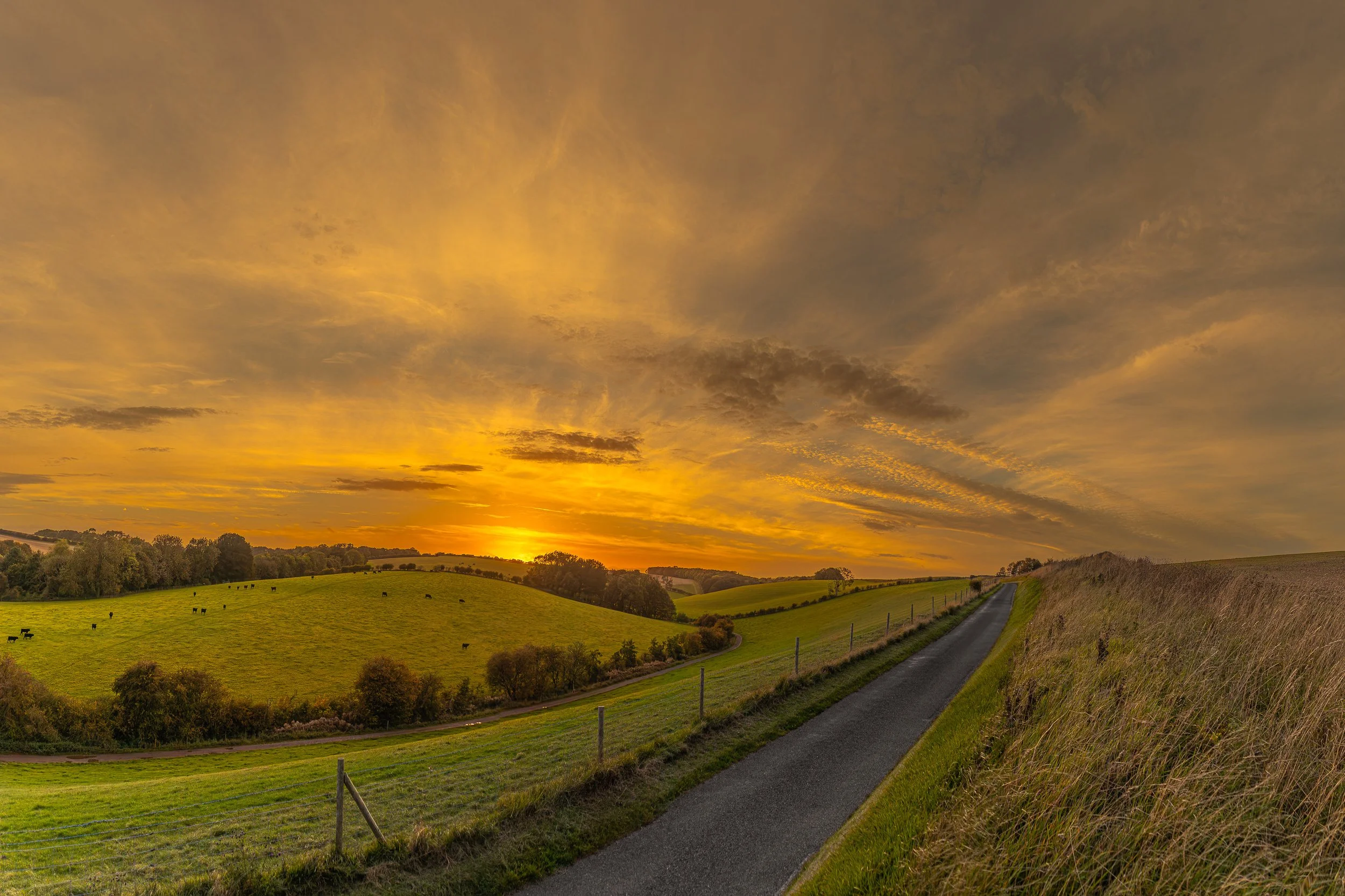 IMG_9985-HDR-Pano.jpg