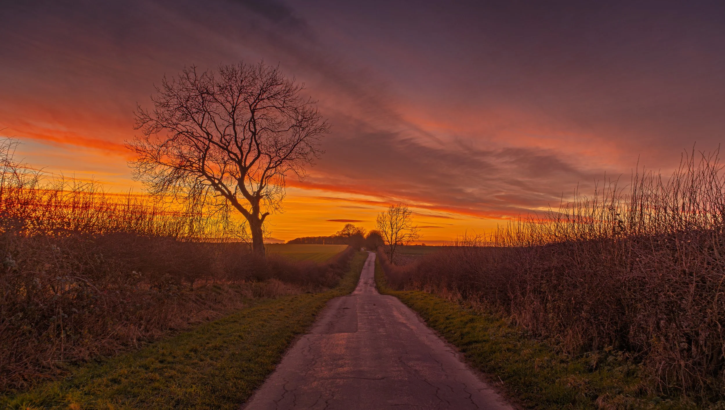 IMG_6906-HDR.jpg