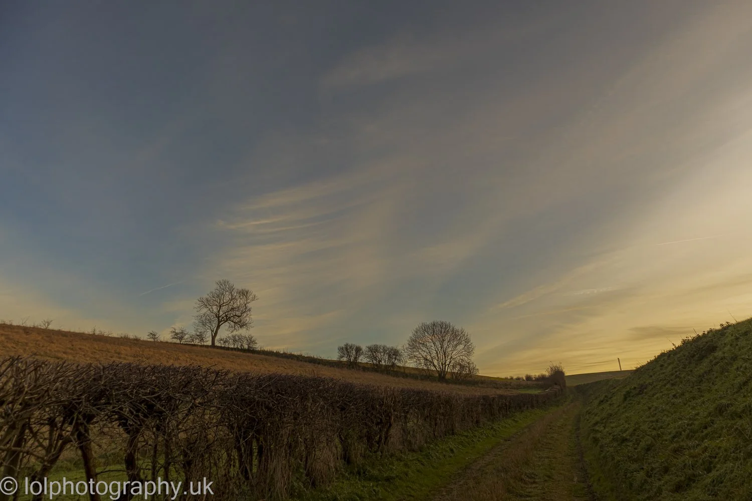 _MG_0719-HDR.jpg