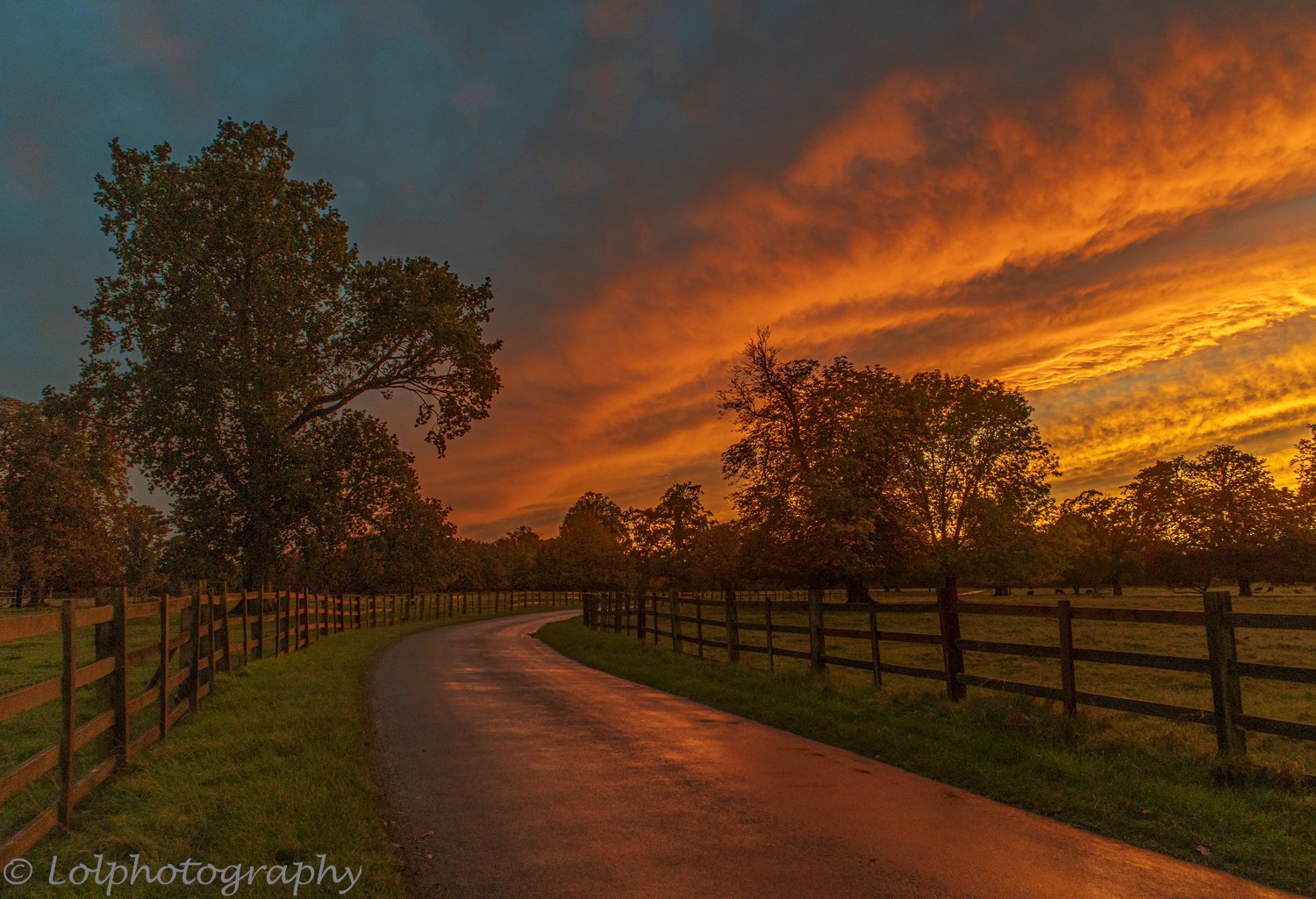 _MG_5974-HDR.jpg