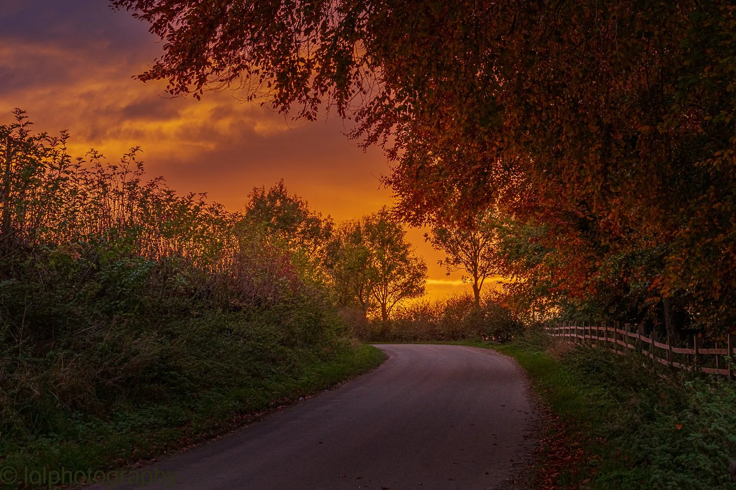 _MG_7386-HDR.jpg