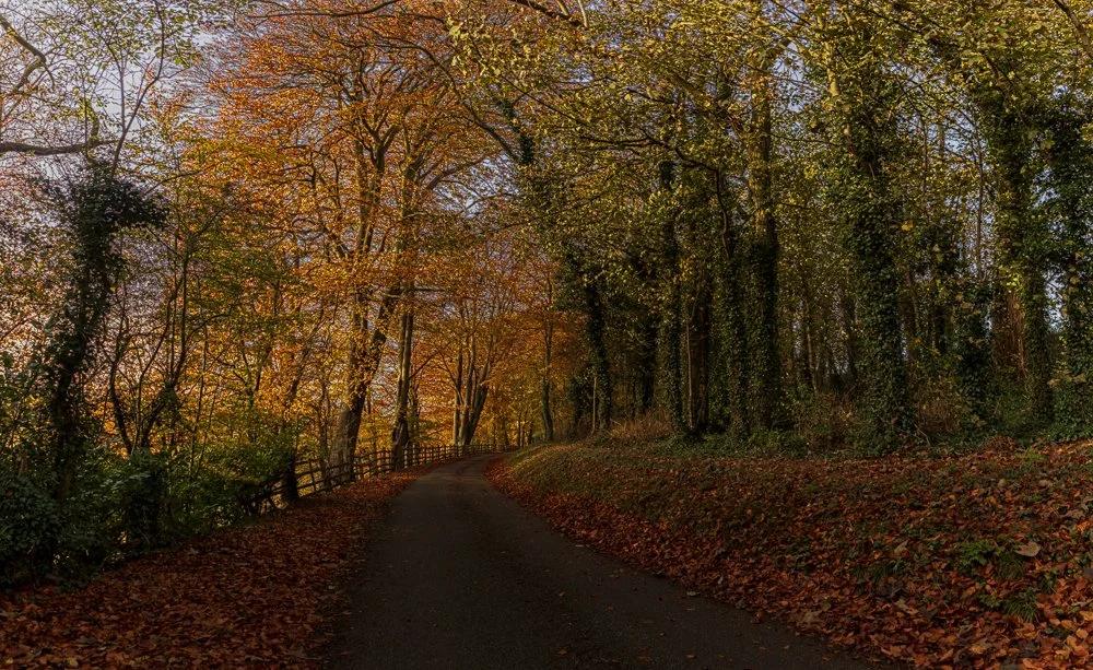 _MG_9887-HDR-Pano.jpg