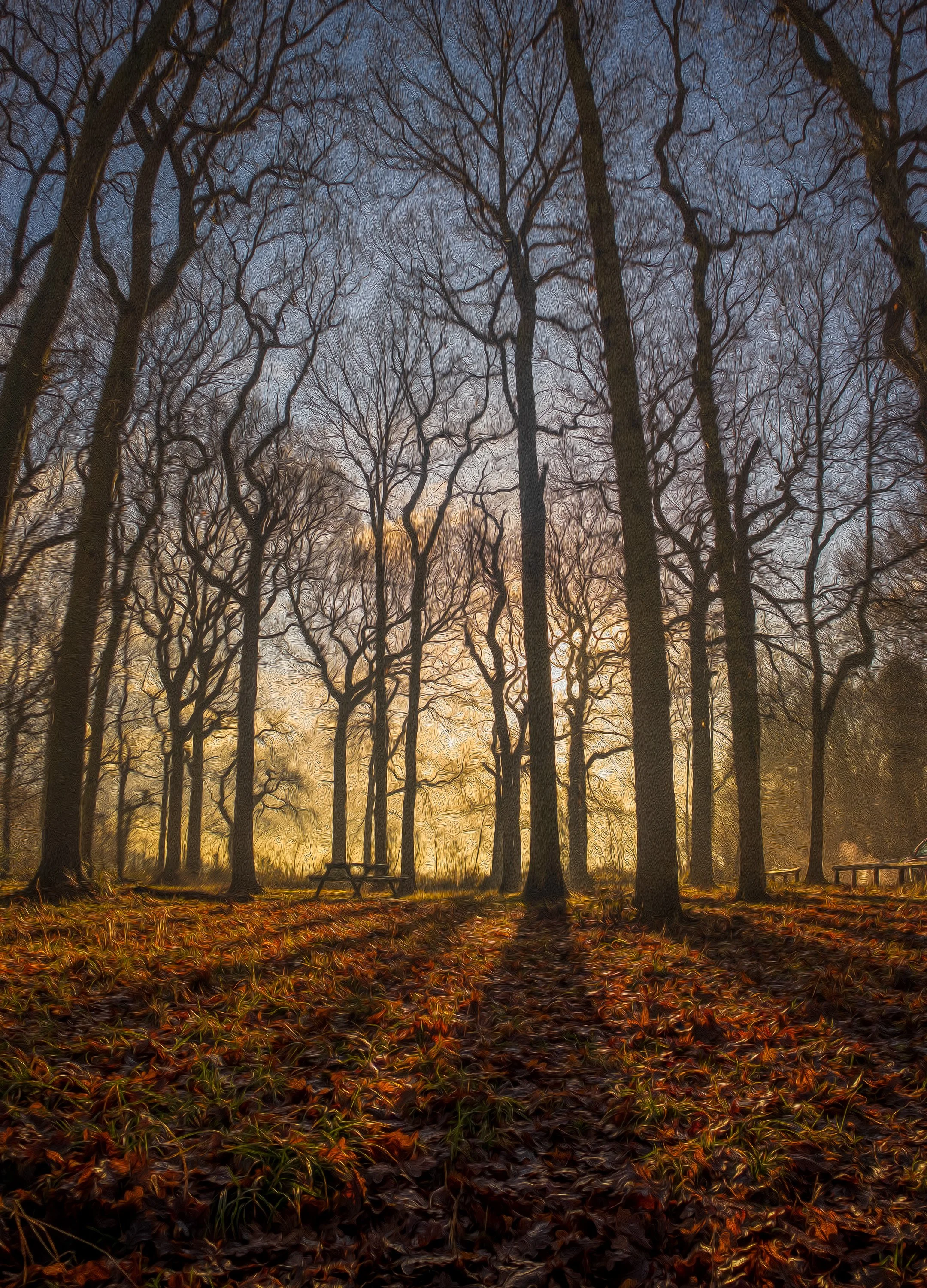 Focus Stack 1b-Pano-Edit.jpg