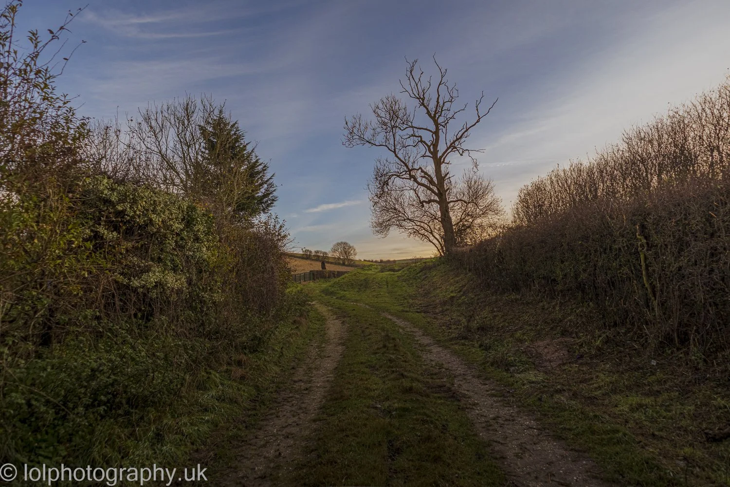 _MG_0691-HDR.jpg