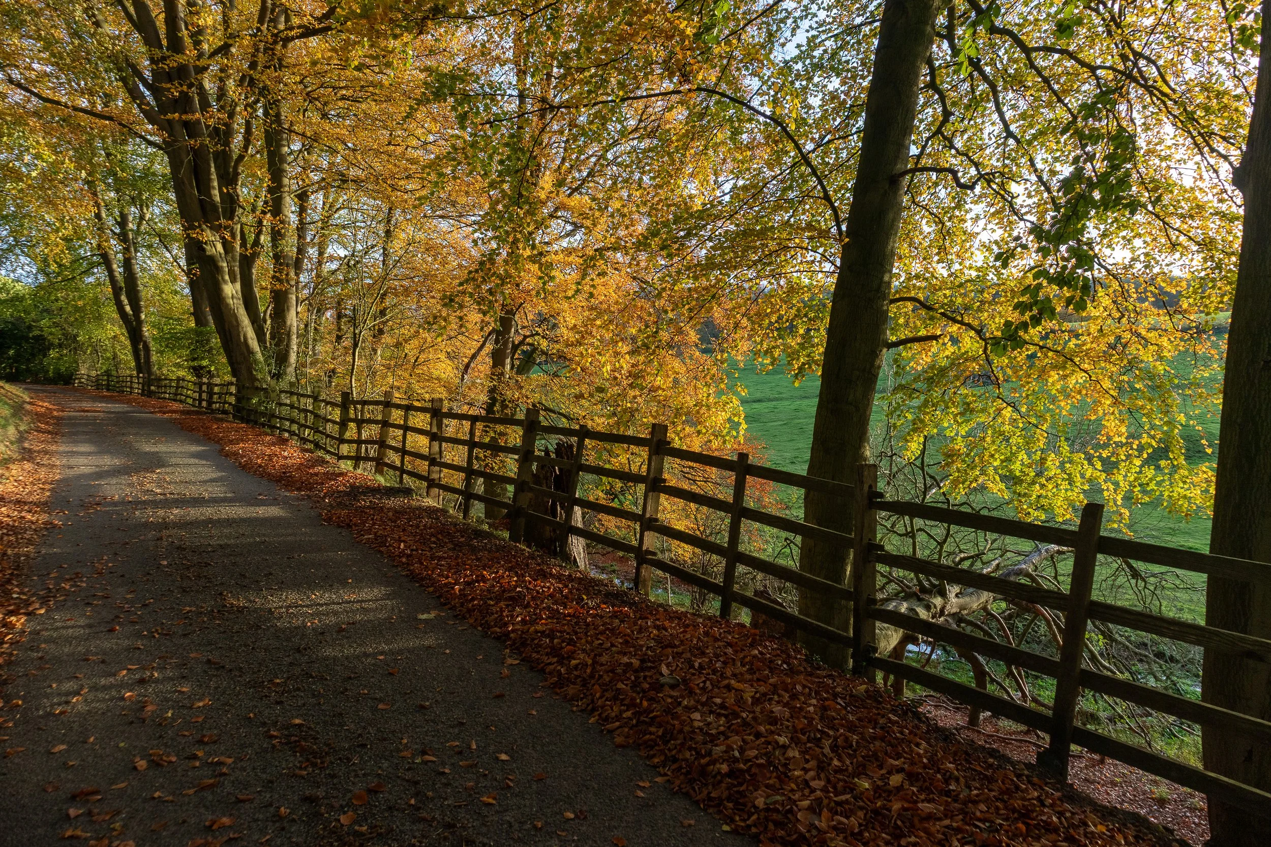 IMG_3646-HDR.jpg