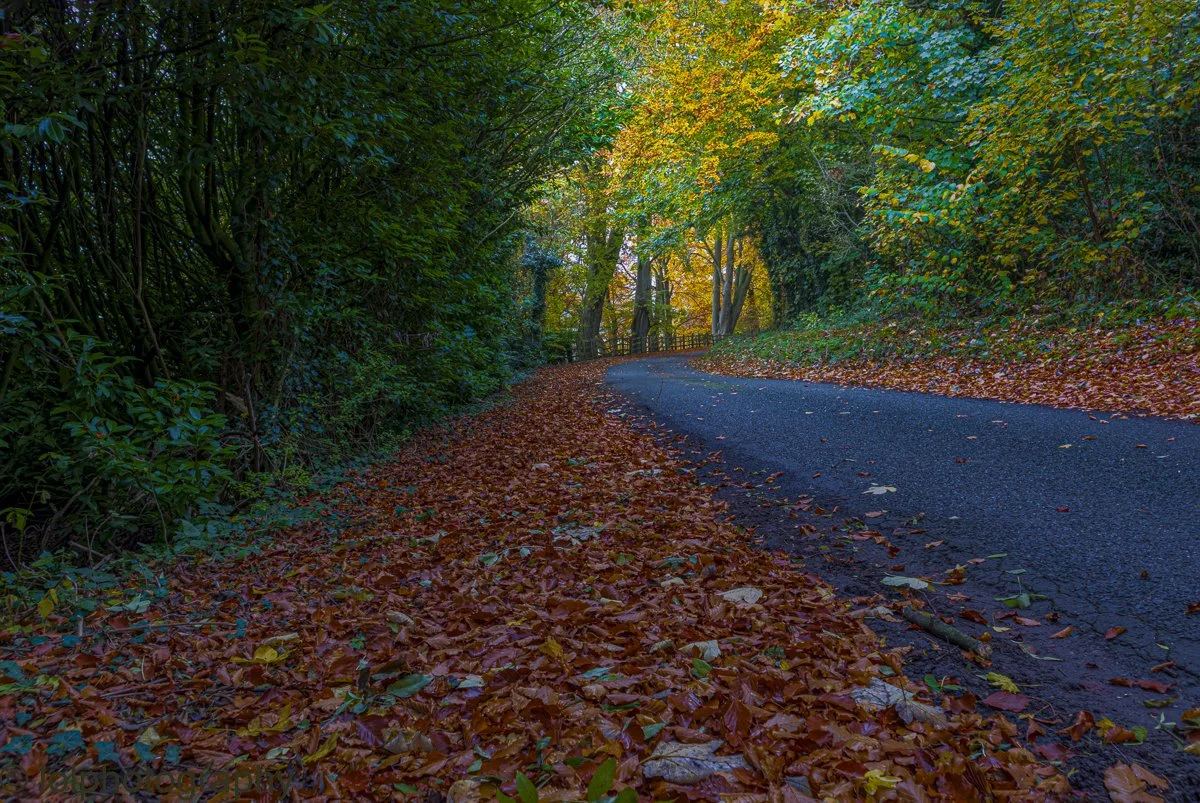 _MG_8343-HDR-Edit.jpg