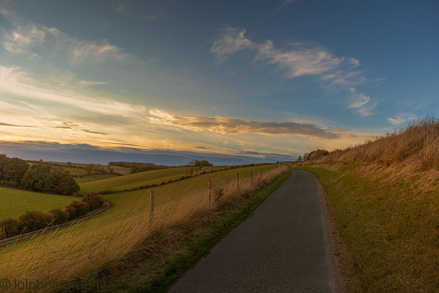 _MG_5872-HDR.jpg