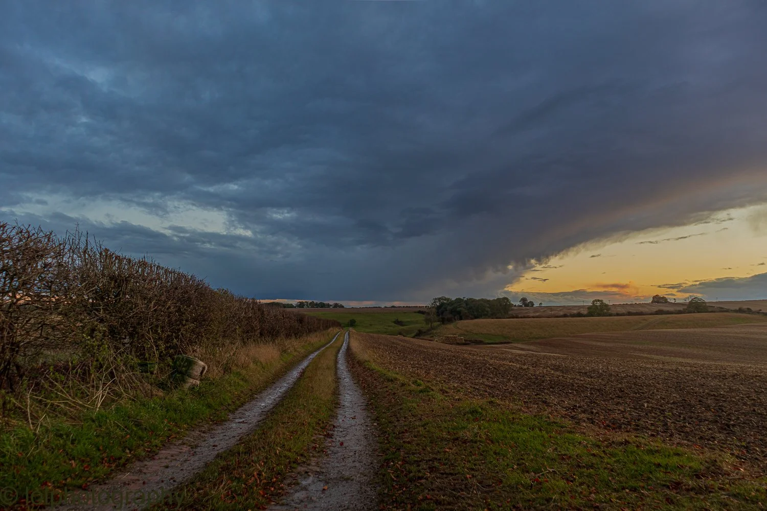 _MG_5307-HDR.jpg