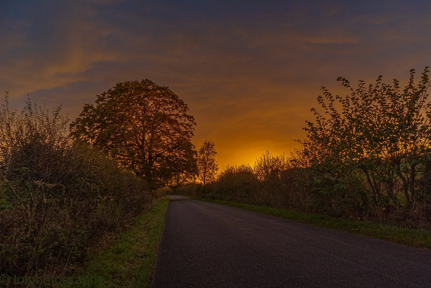 _MG_7301-HDR.jpg