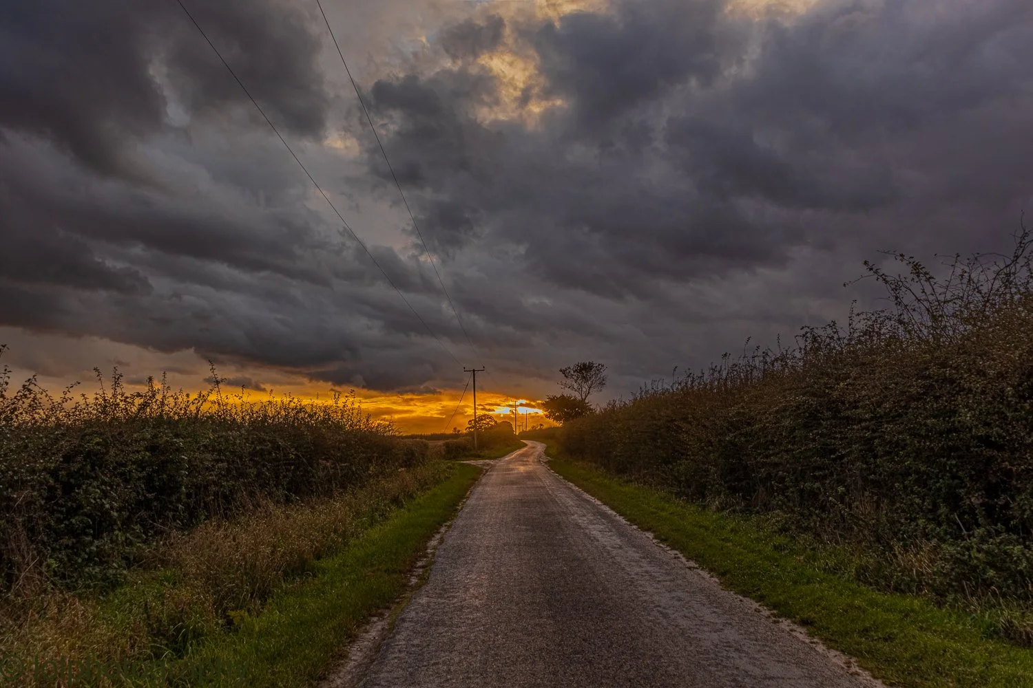 _MG_5226-HDR-2.jpg