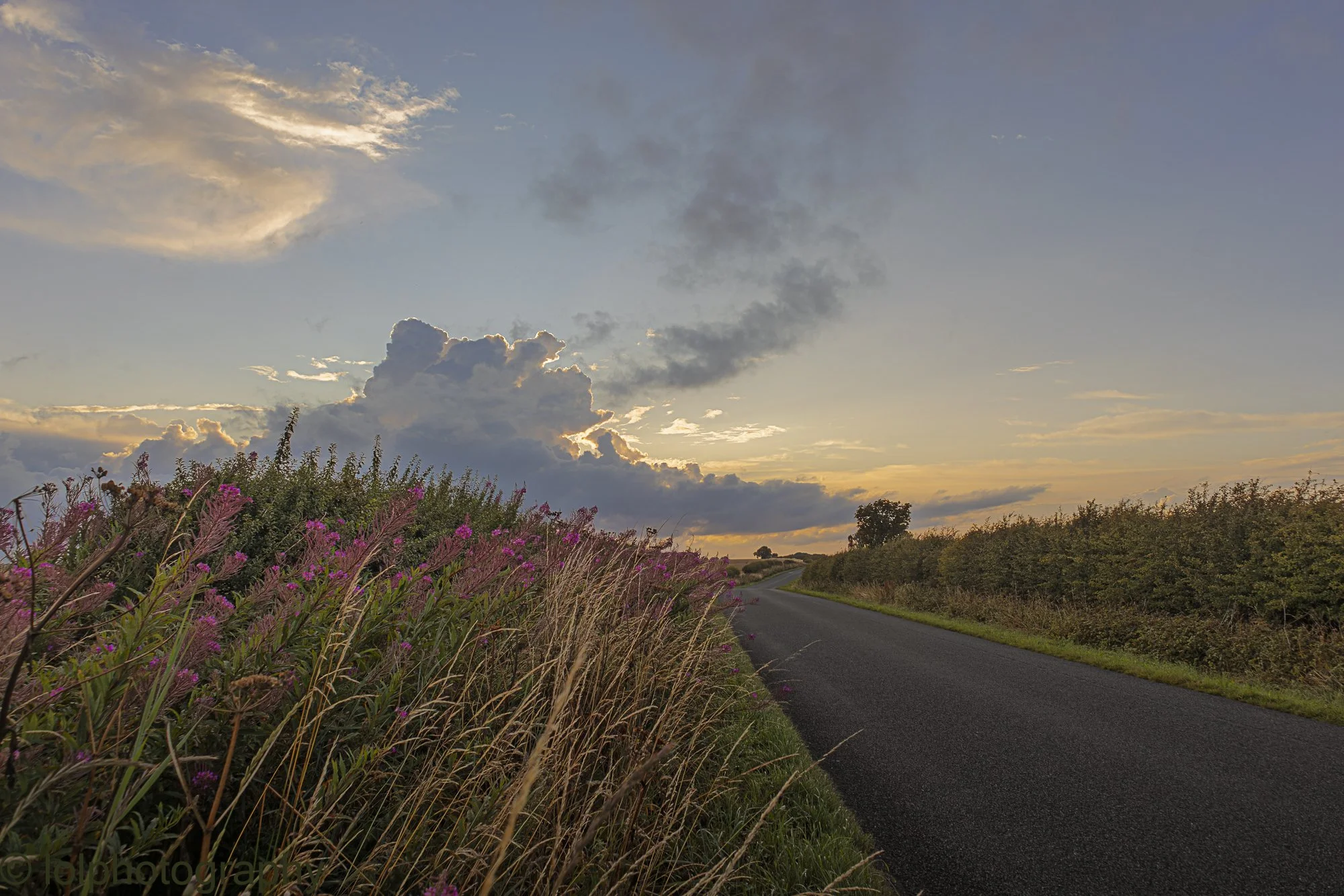 _MG_4765-HDR.jpg