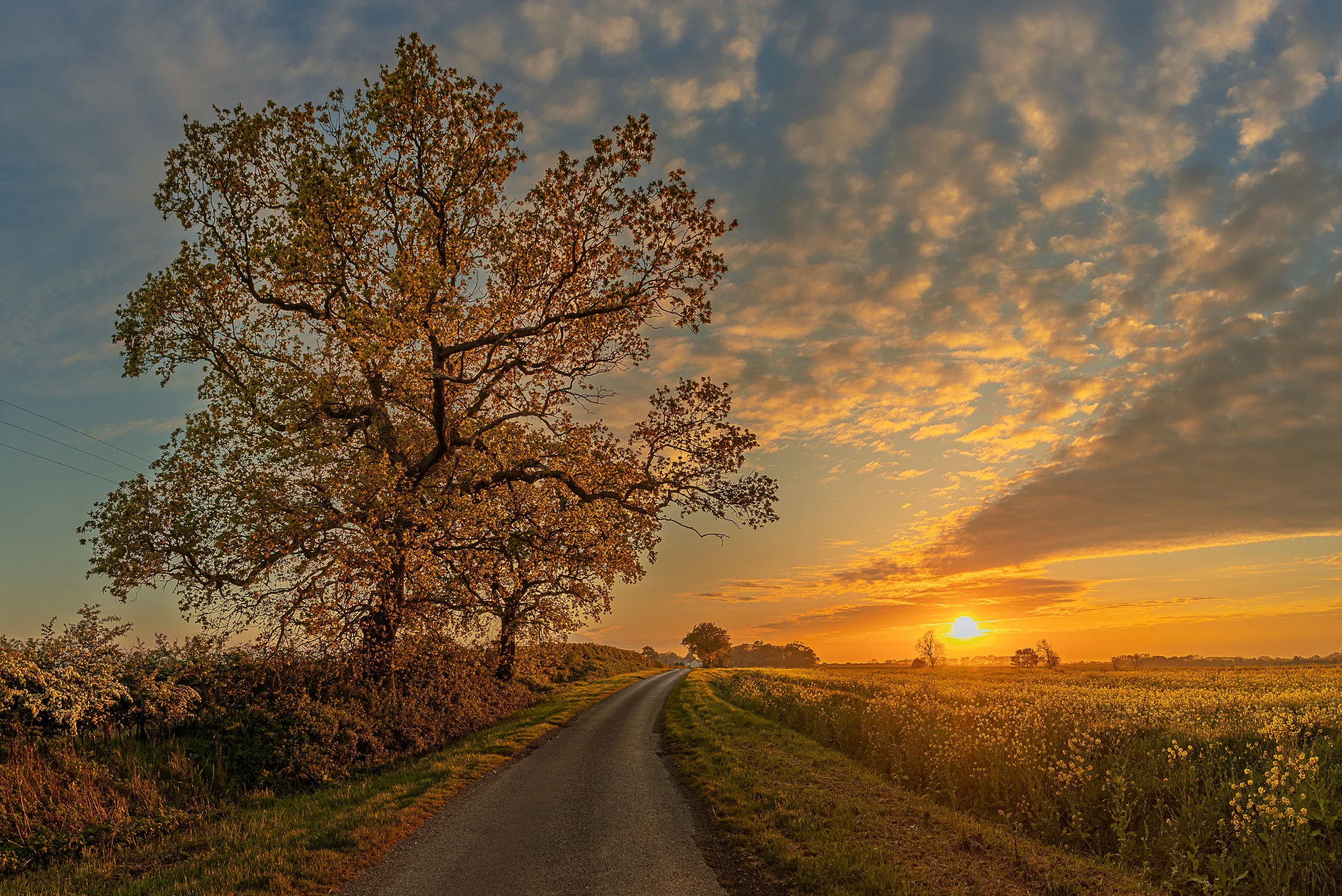 IMG_7936-HDR-Pano.jpg