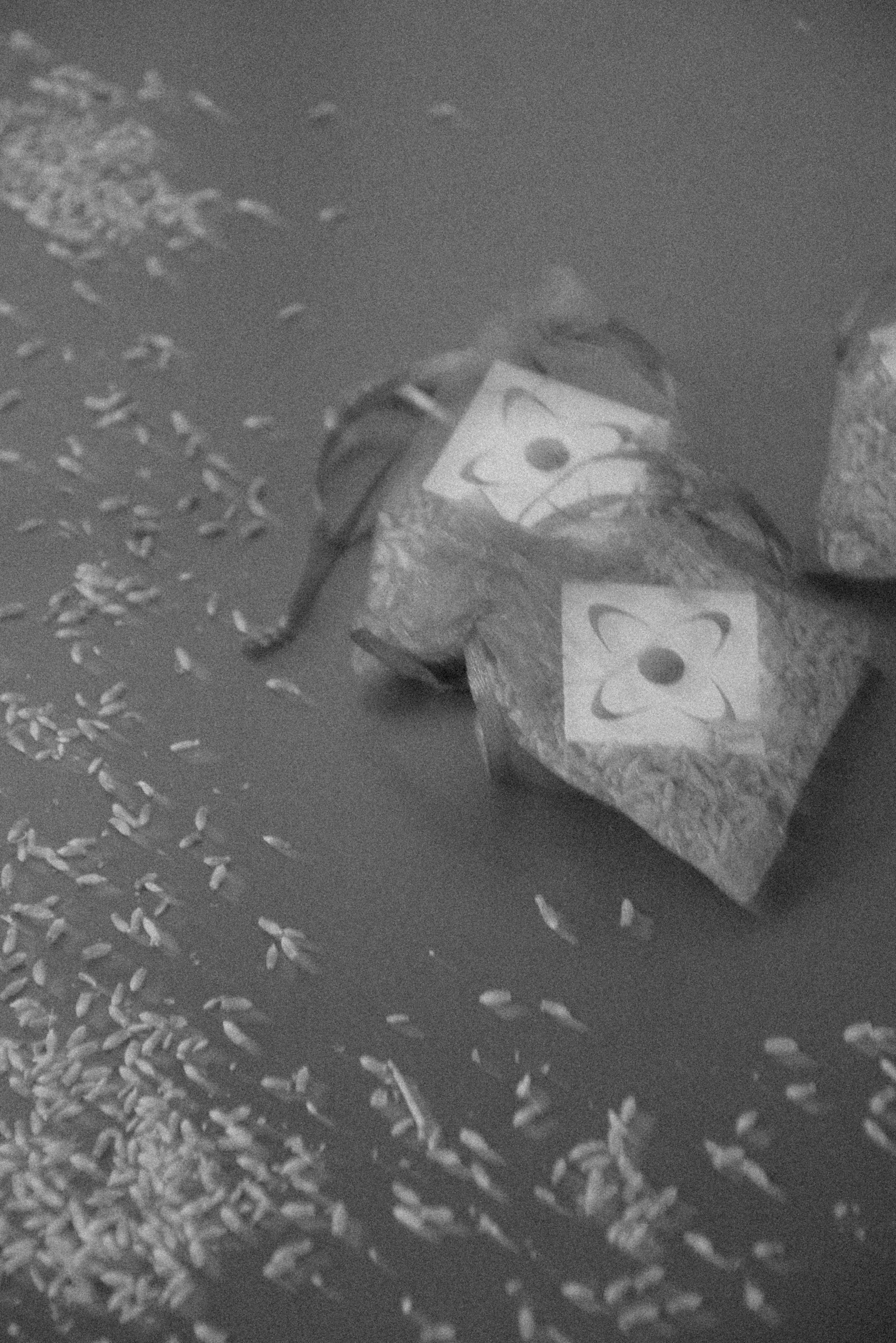 A partially opened bag of popcorn with a cartoon face, lying on a surface with scattered popcorn kernels around.