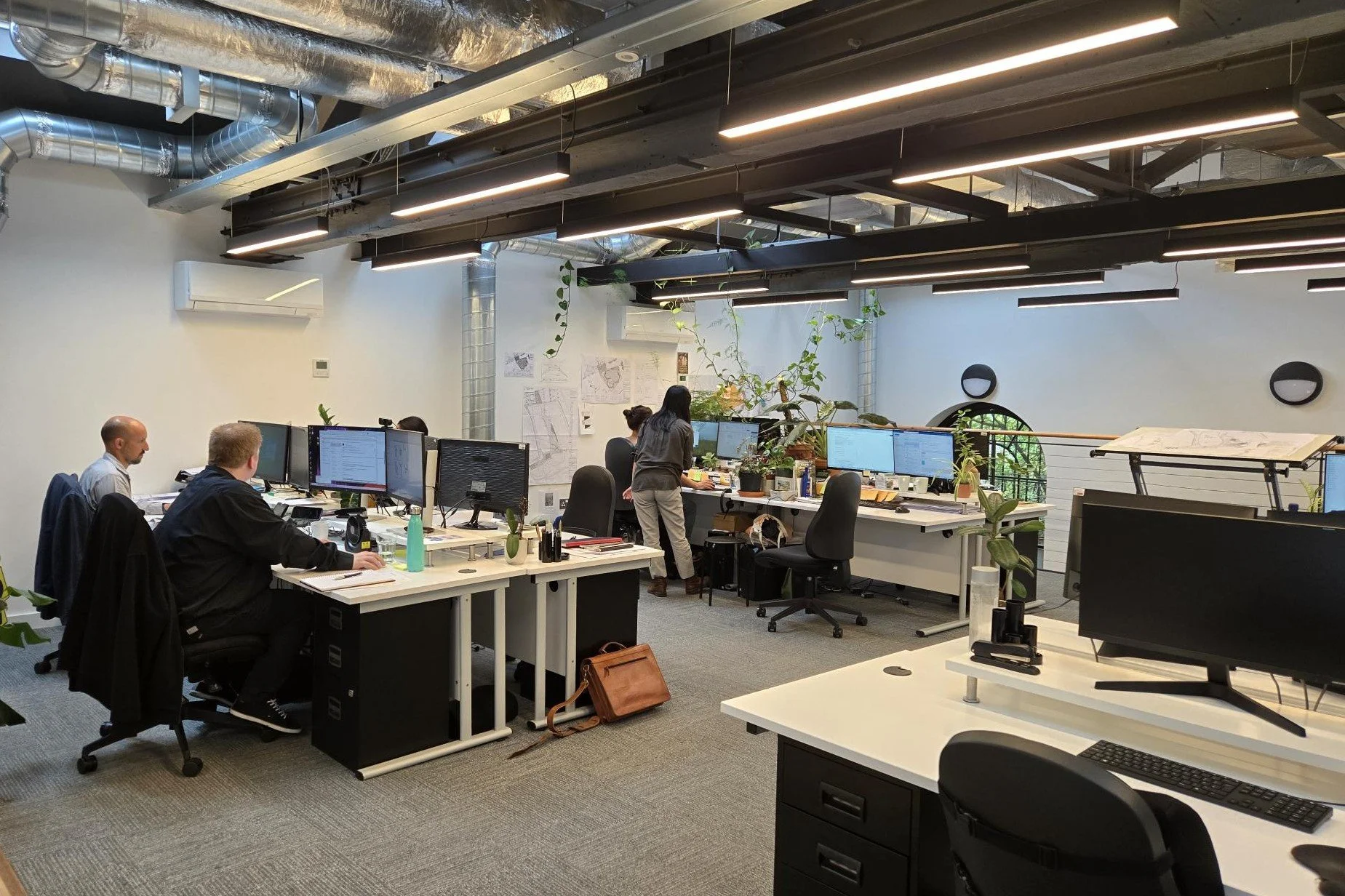 shared image (5).jpg