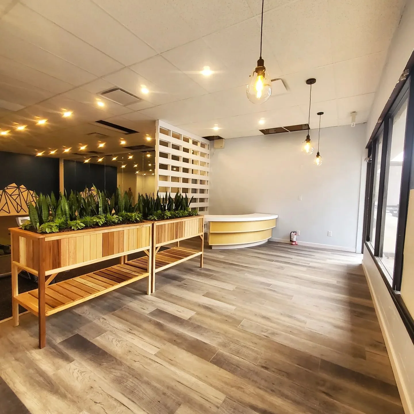 Empty interior space with wooden flooring, hanging lightbulbs, a wooden plant divider, and a curved reception desk in a modern office or cafe setting.
