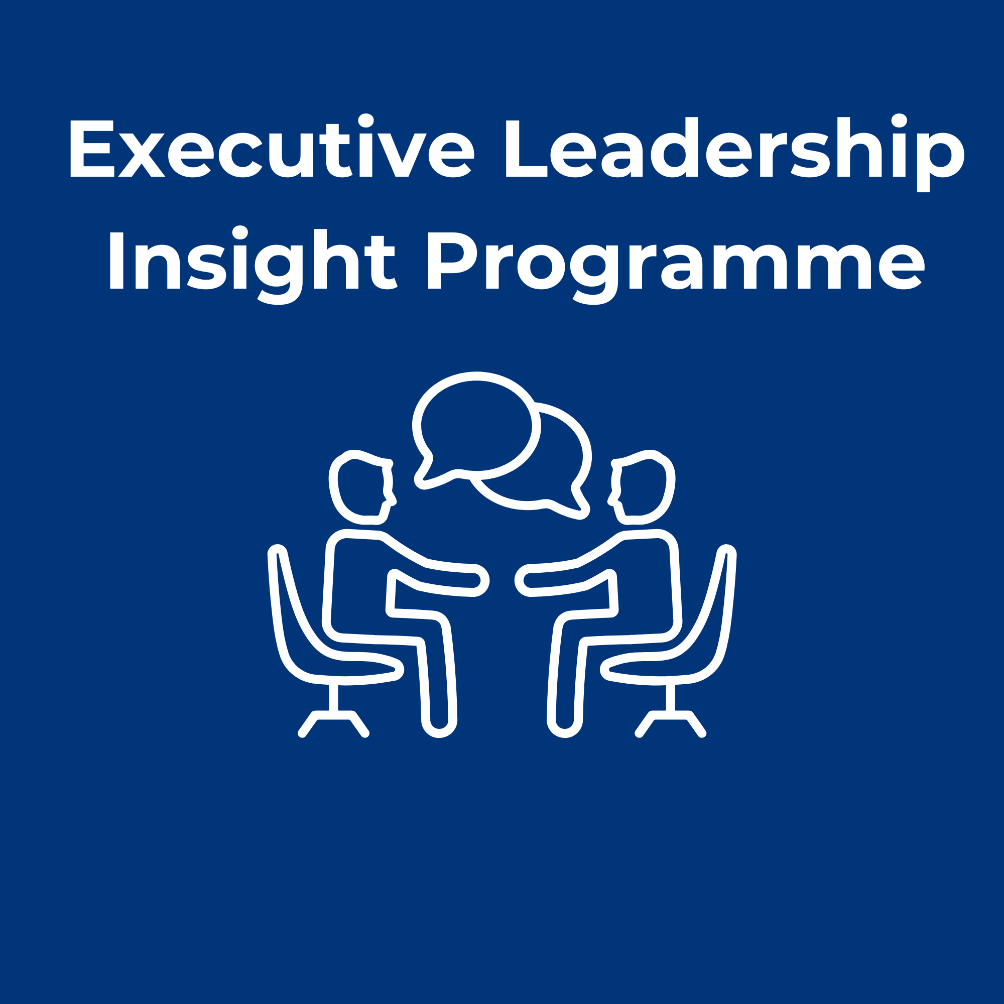 1080 Executive Leadership Insight branding. Blue background with white text that reads 'Executive Leadership Insight Programme' and a line drawing of two people sitting and talking with speech bubbles between them.