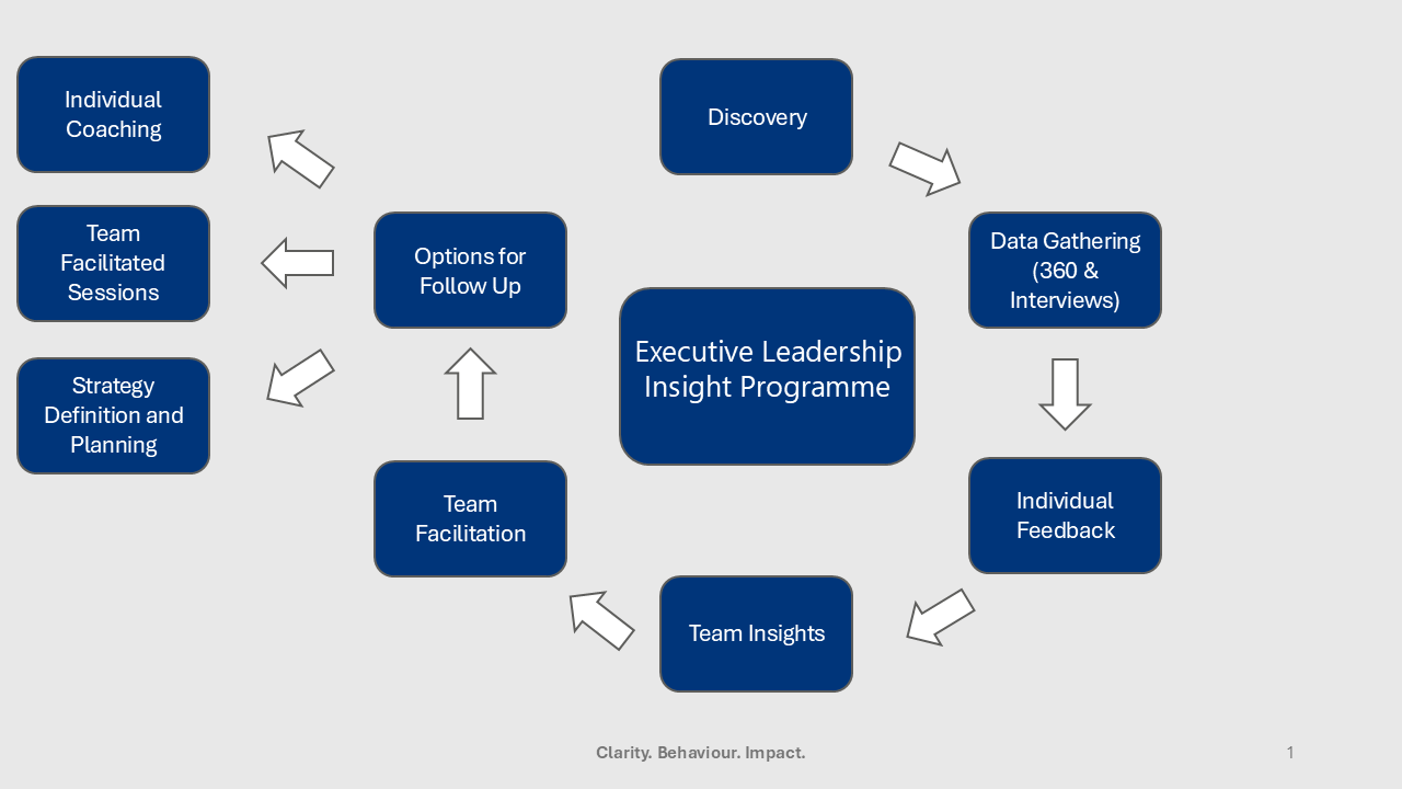 Flowchart of the Executive Leadership Insight Programme showing steps: Discovery, Data Gathering (360 & Interviews), Individual Feedback, Team Insights, Team Facilitation, Options for Follow Up, and three options: Individual Coaching, Team Facilitated Sessions, and Strategy Definition and Planning.