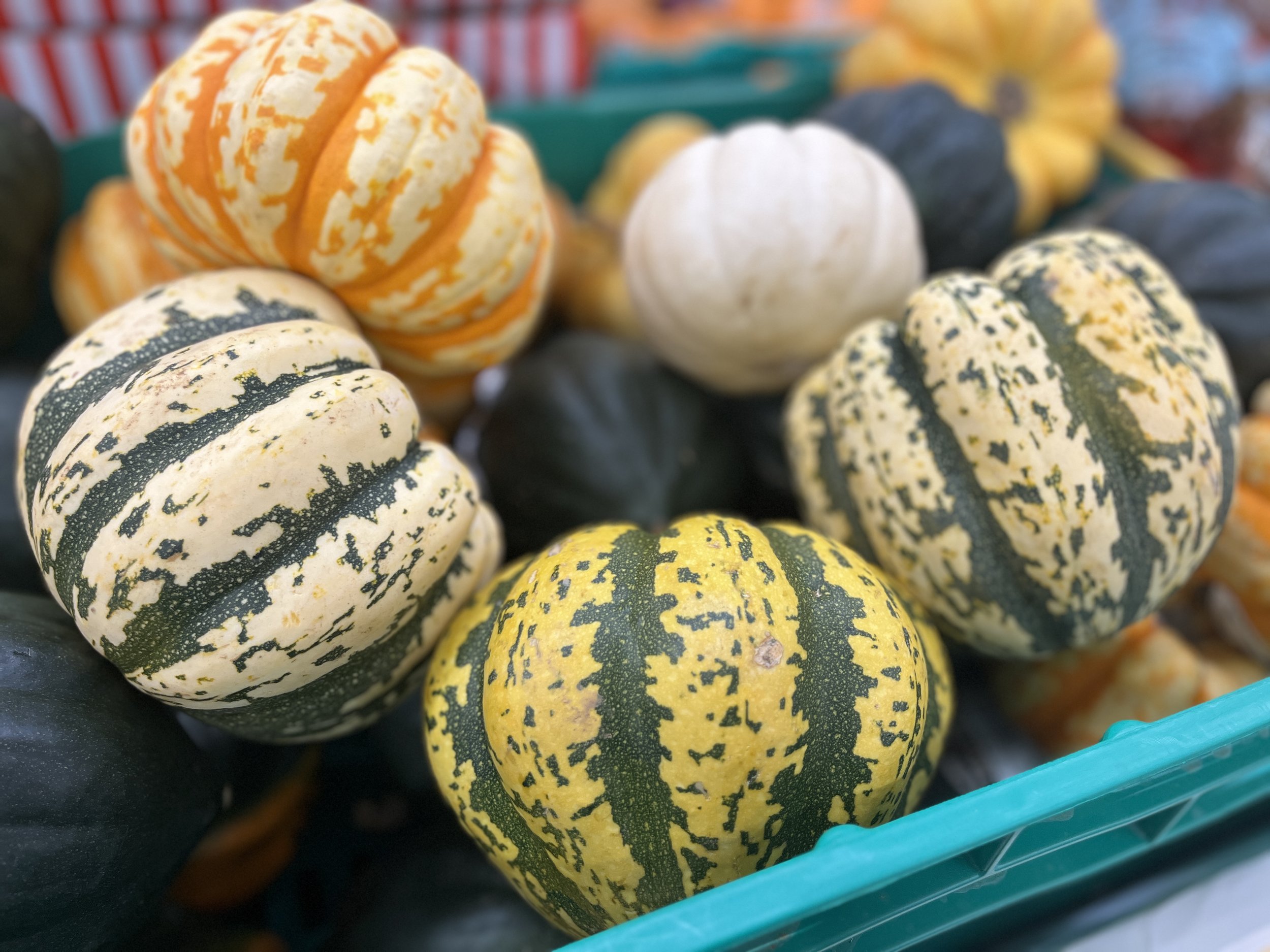 Better Wetherby Newsletter – October 2025