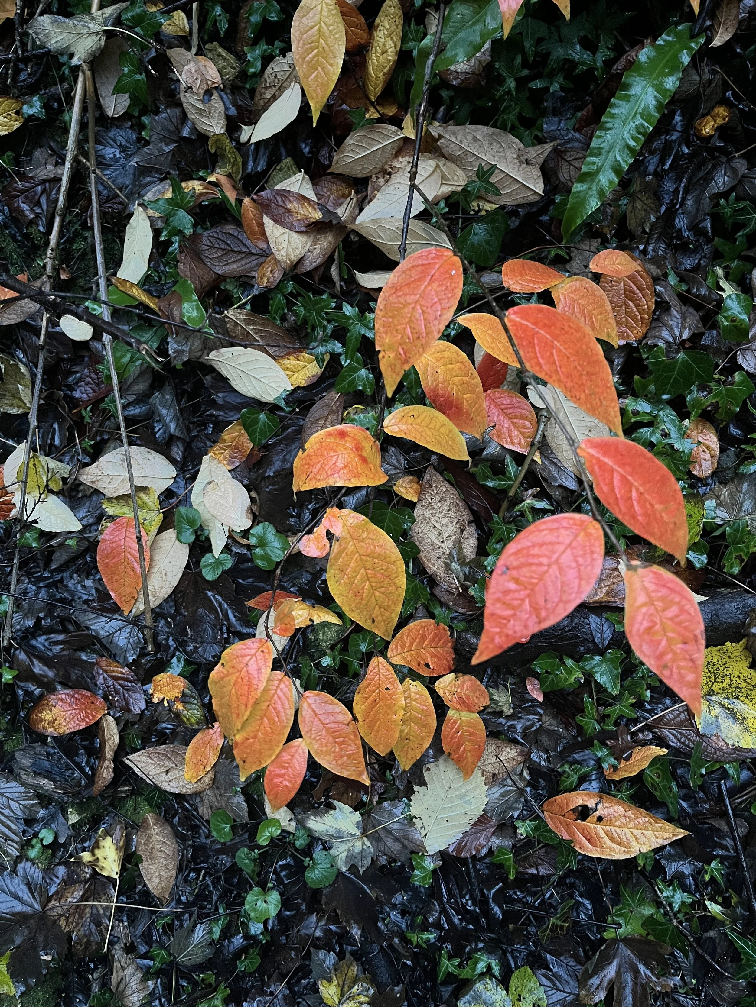 BW Newsletter – December 2025