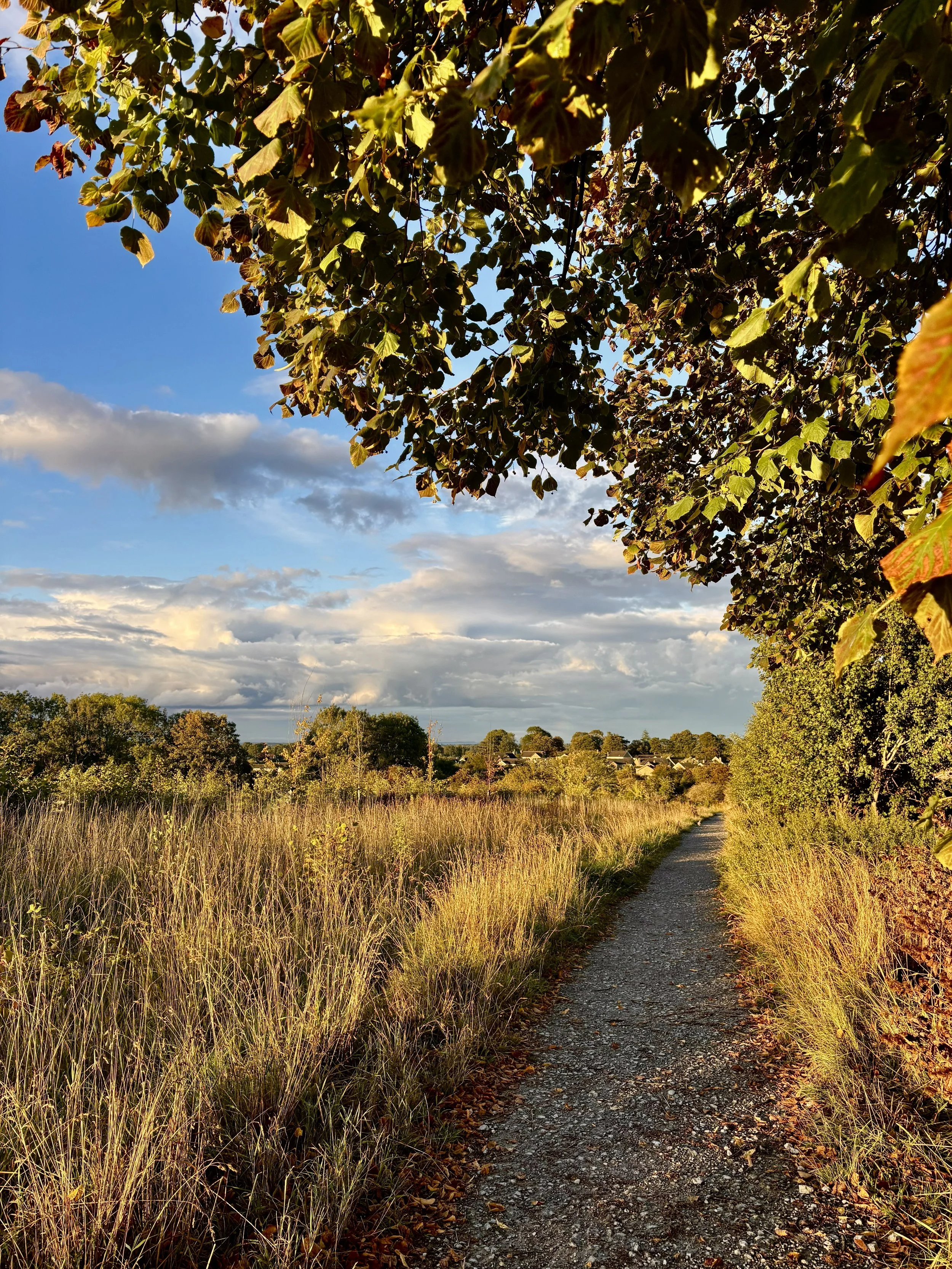 Better Wetherby Newsletter – July 2025