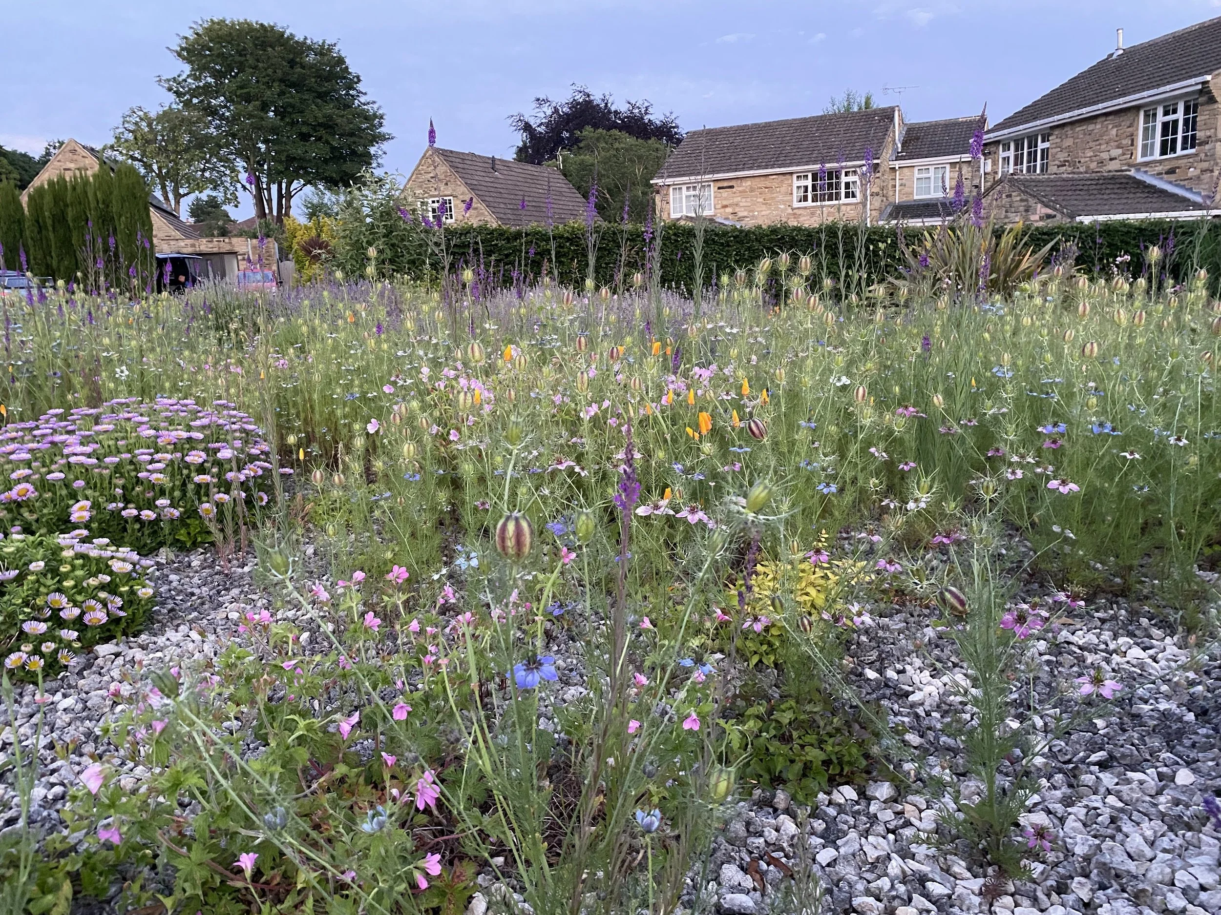 Better Wetherby Newsletter – June 2025