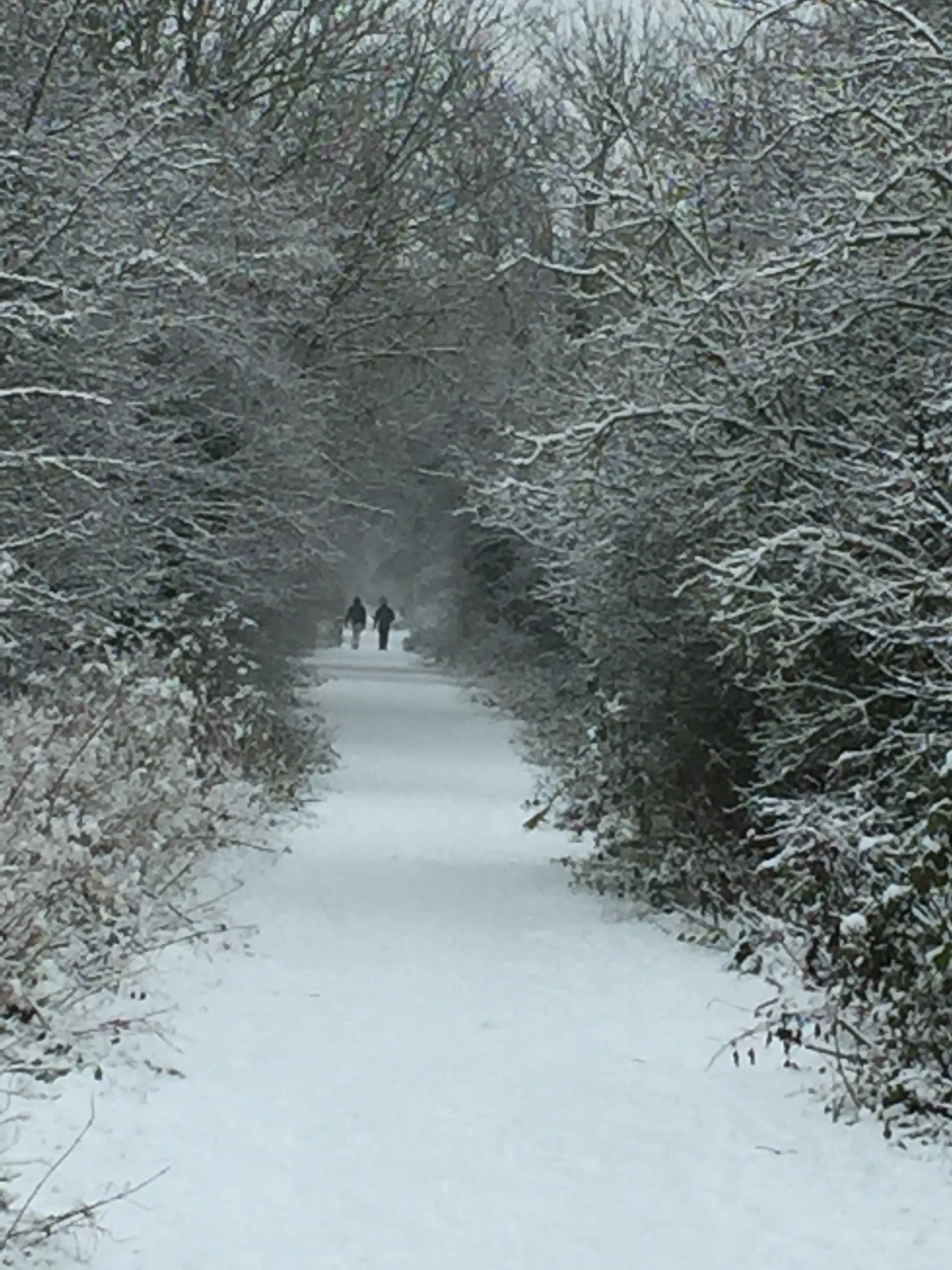 Better Wetherby Newsletter – January 2025