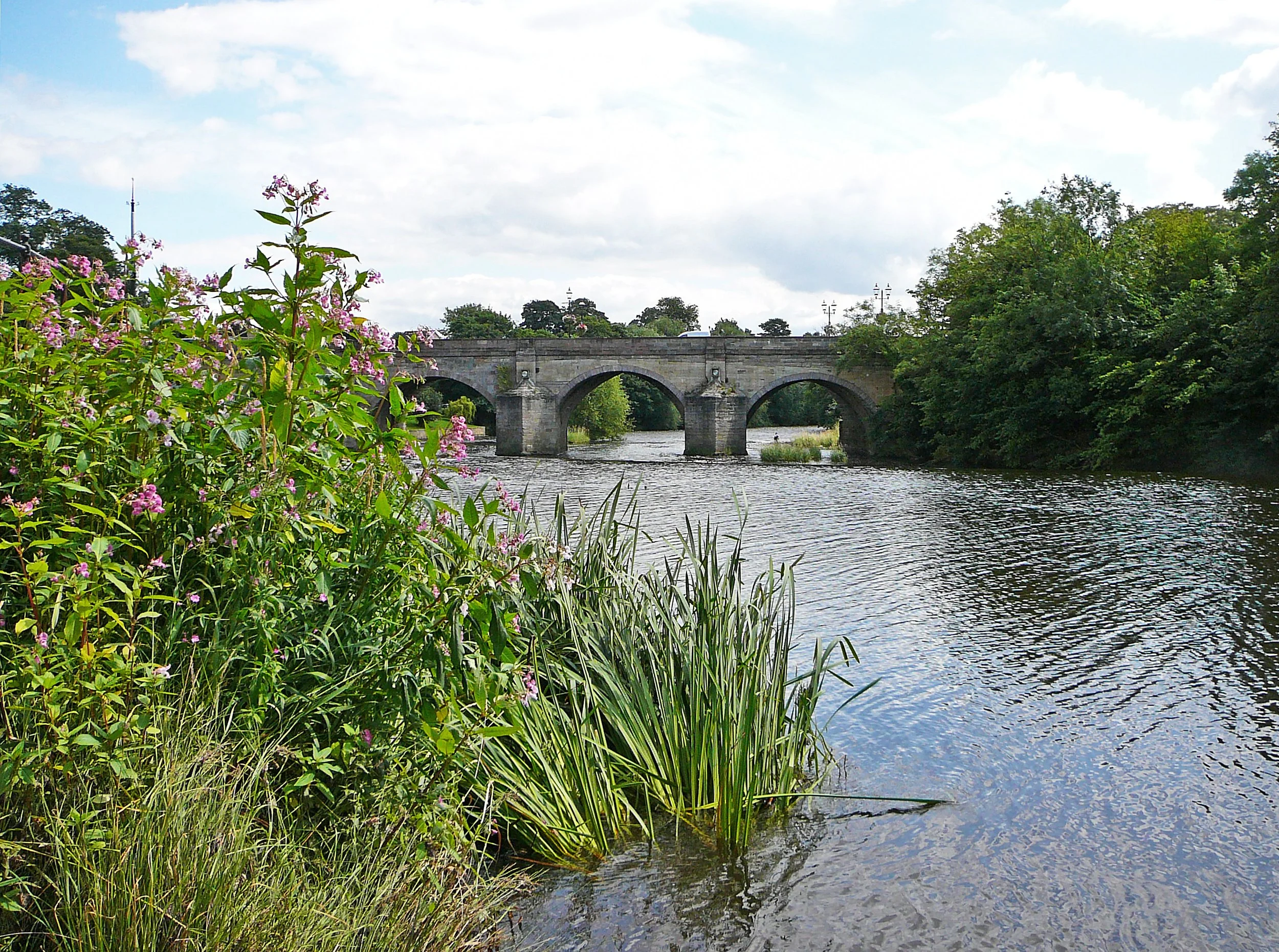 A stone bridge over a river with trees and bushes on either side, and pink flowers in the foreground.
