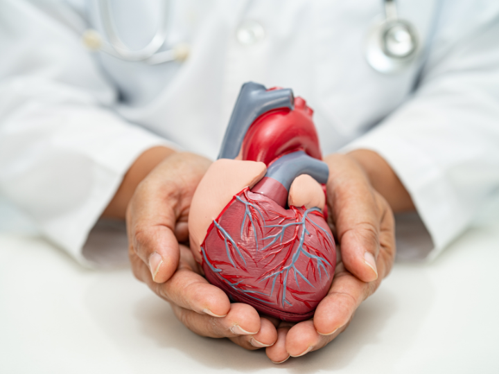 Can Cannabis Cause a Heart Attack? 